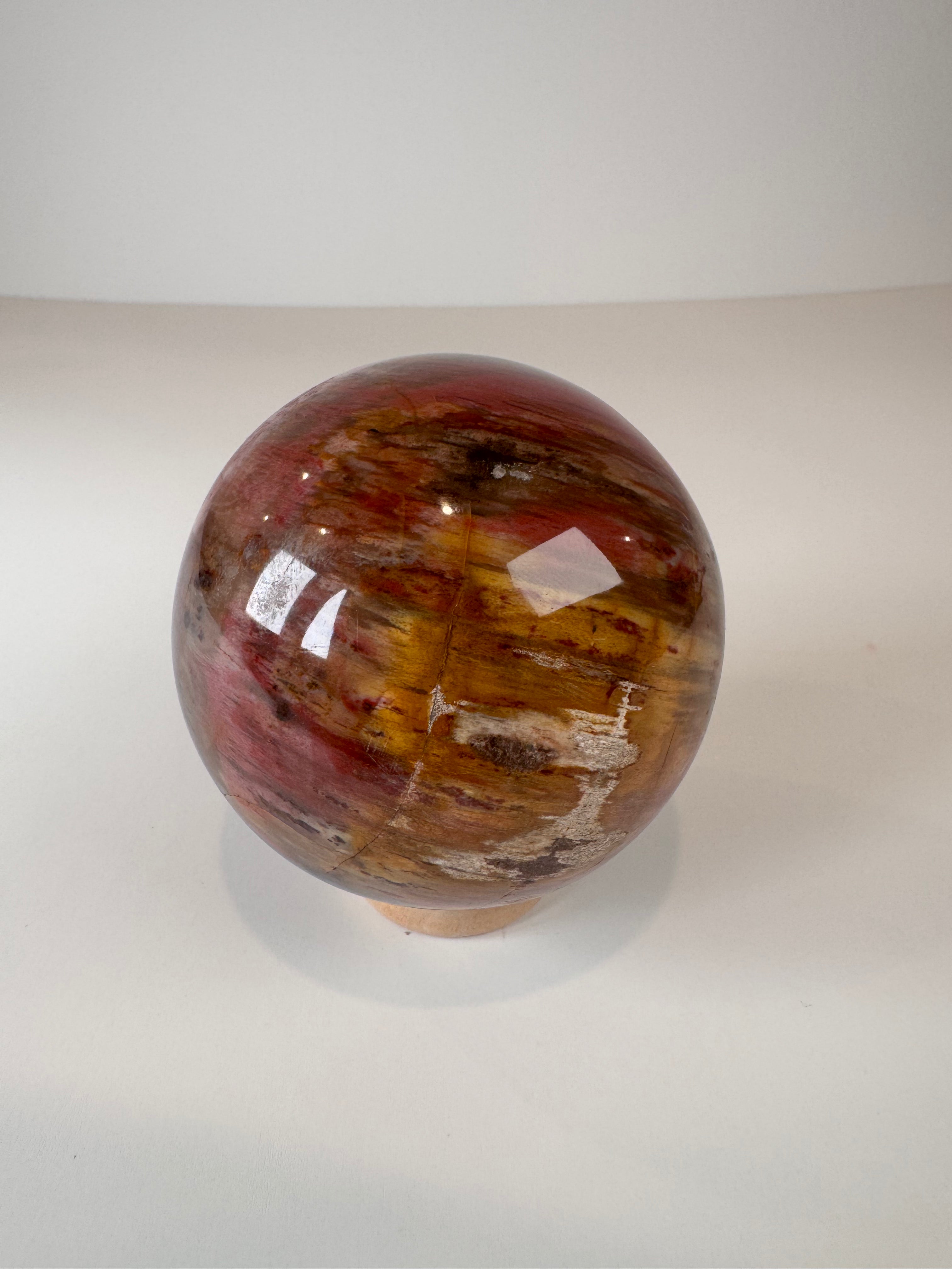 Petrified Wood Sphere