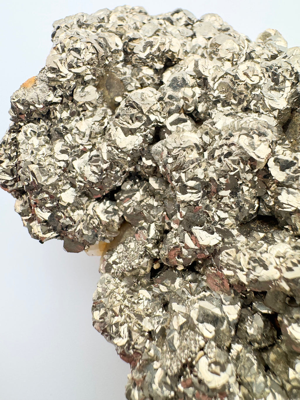 Gilded Bloom Pyrite