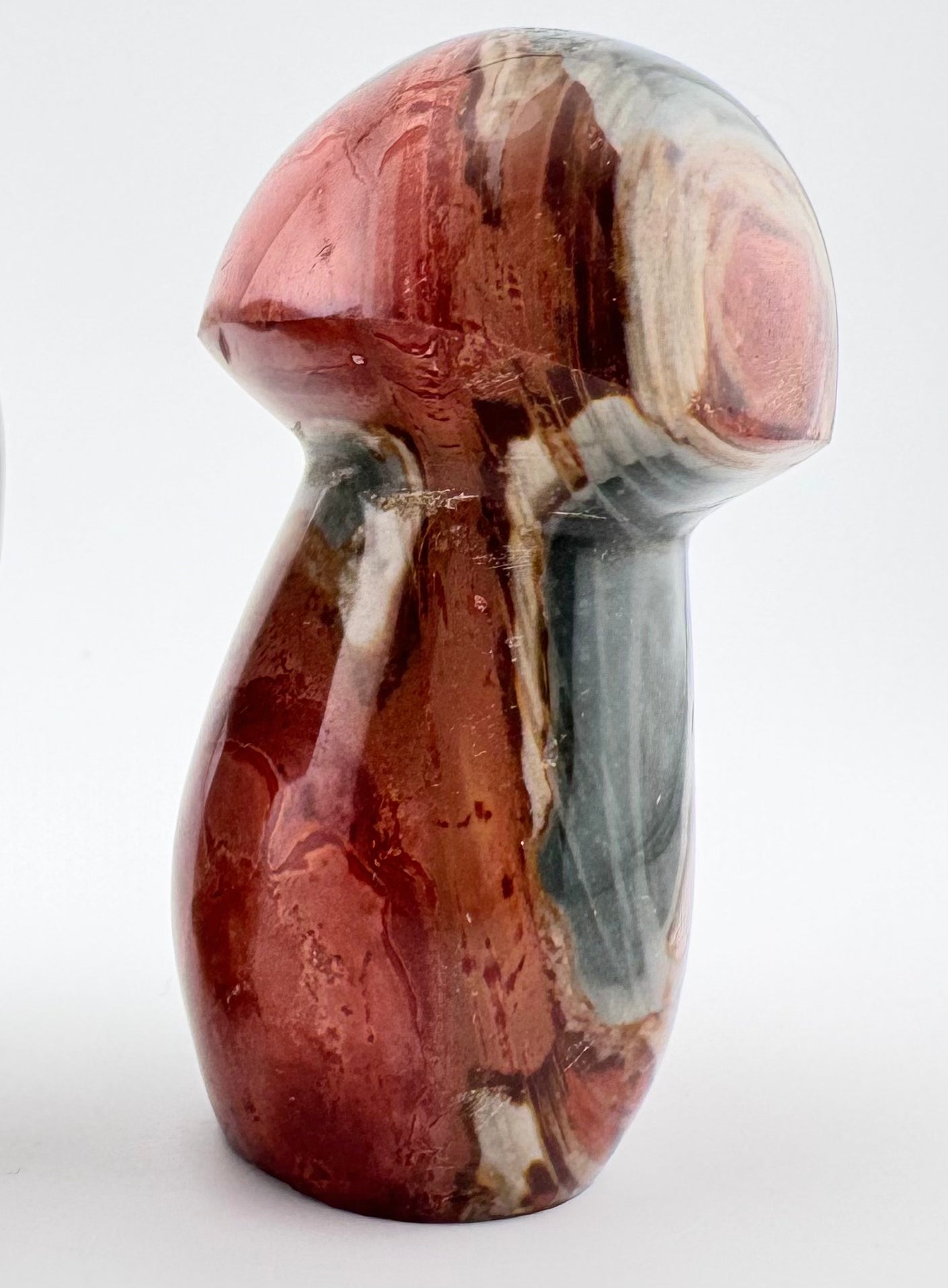 Polychrome Jasper Medium Mushroom