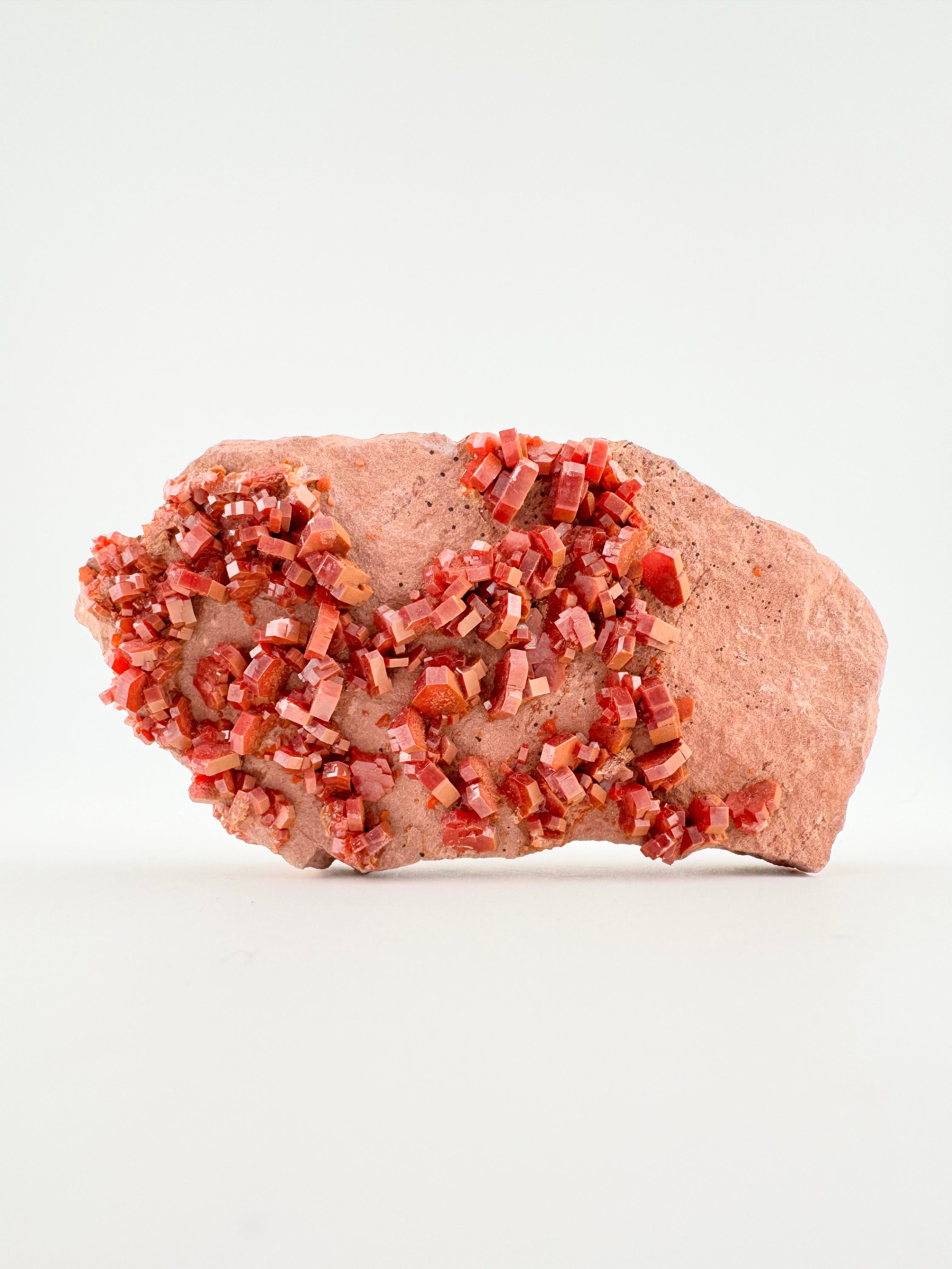 Vanadinite on Pink Sandstone