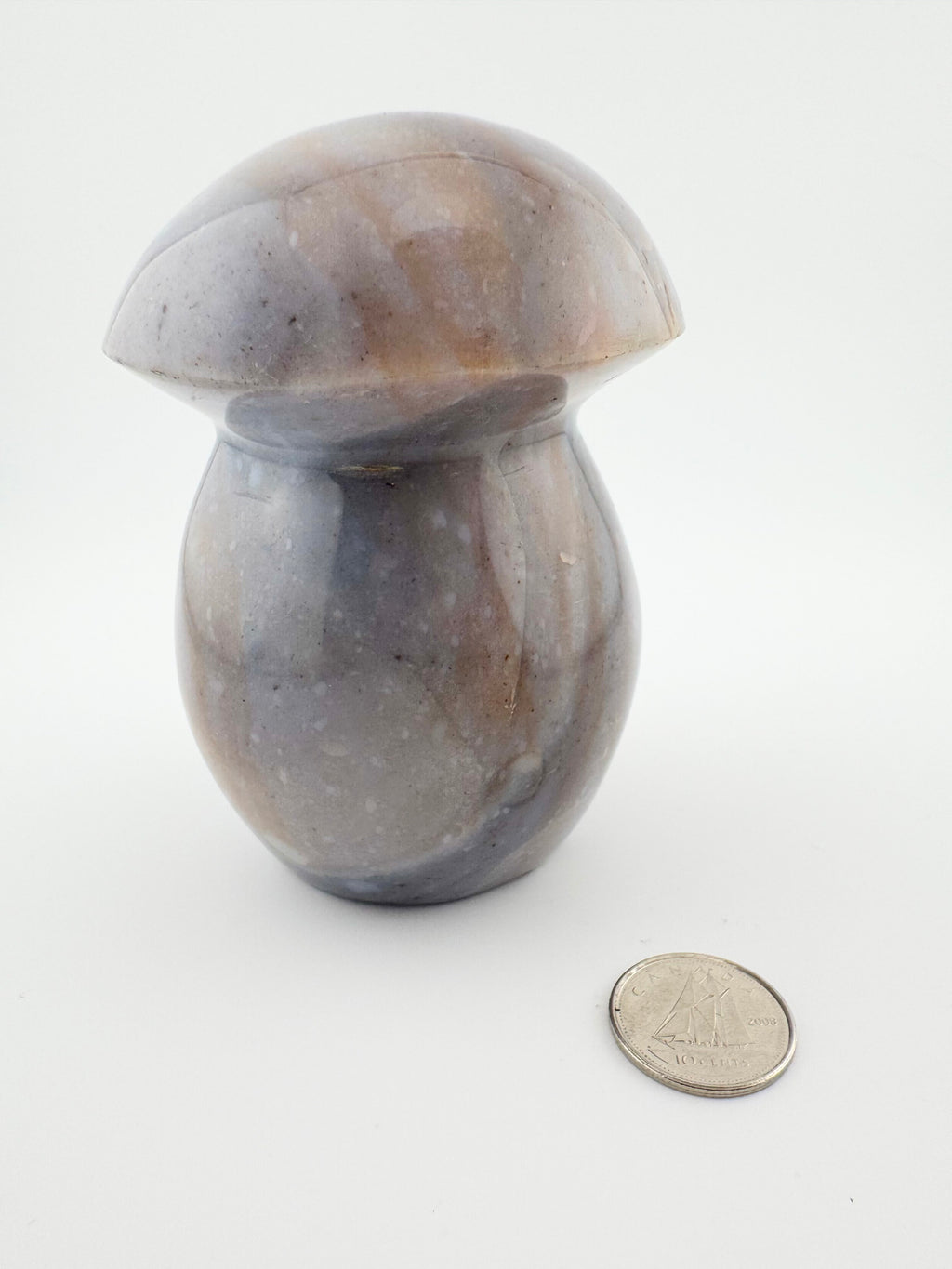 Ocean Jasper Mushroom