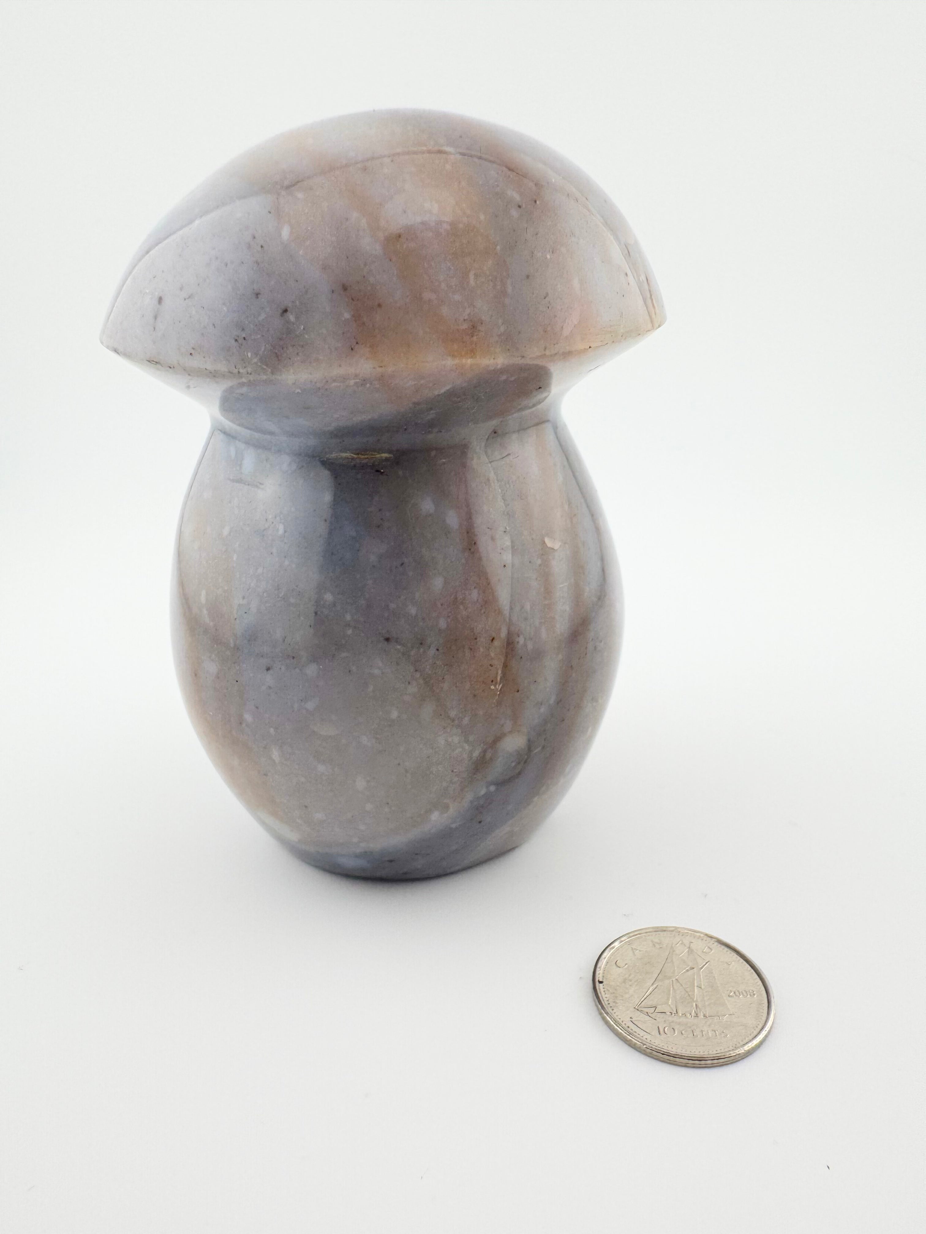 Ocean Jasper Mushroom