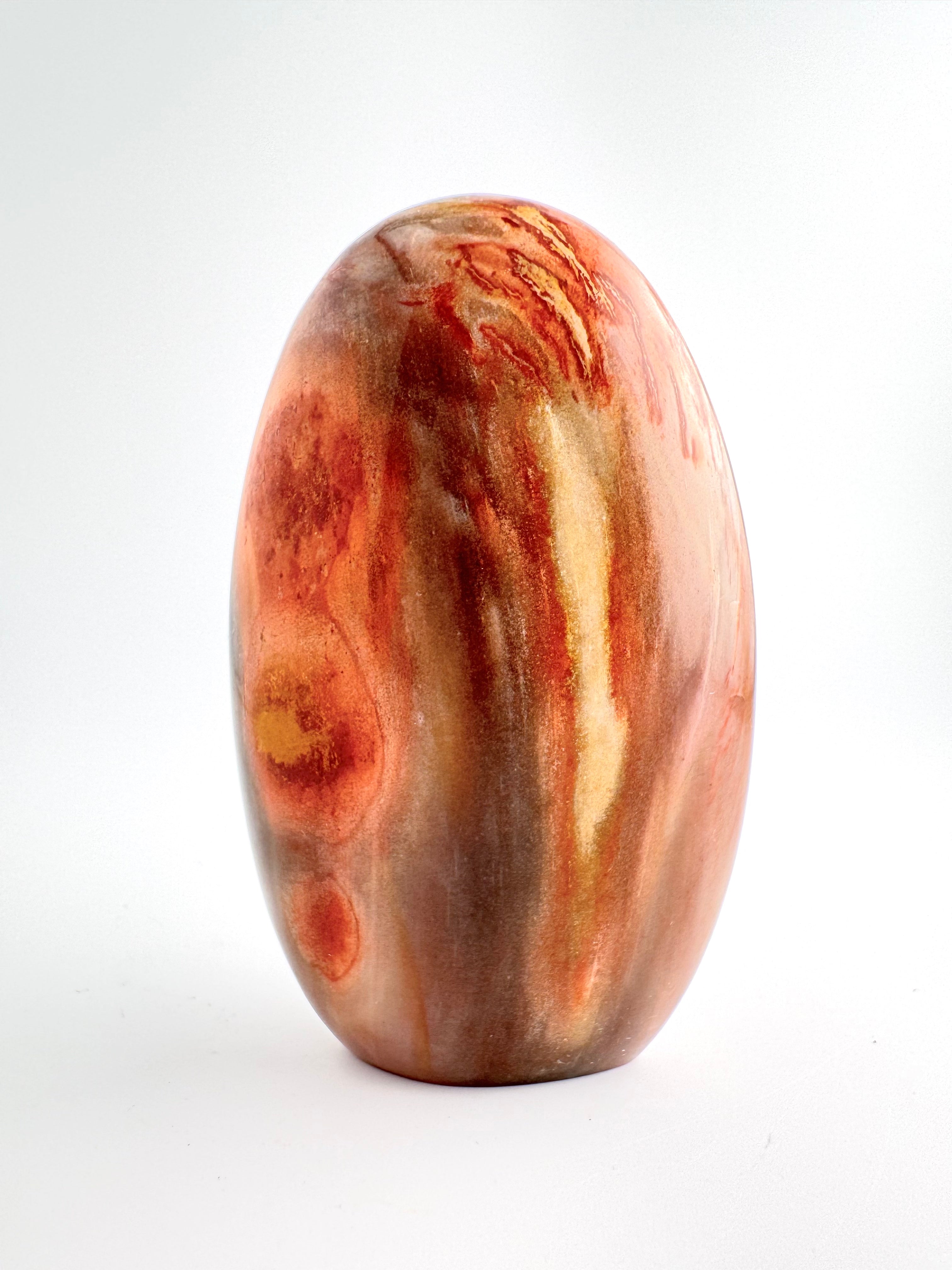 Petrified Wood Free Form