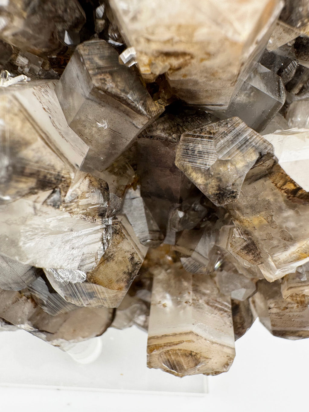 Columnar Benz Calcite (panda) and Quartz Cluster