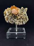 Scheelite on Muscovite, Sichuan, China