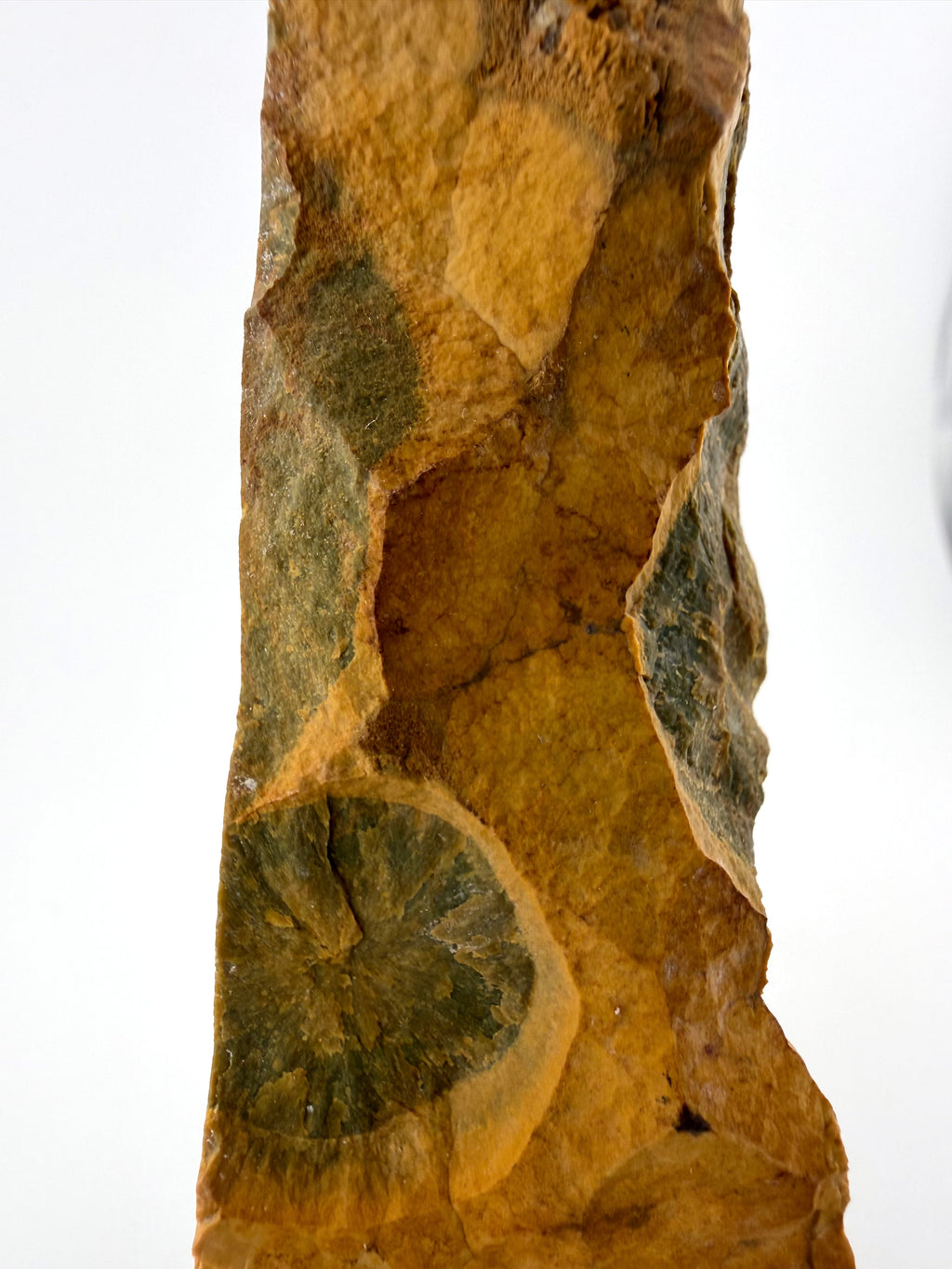 Kabamby Ocean Jasper