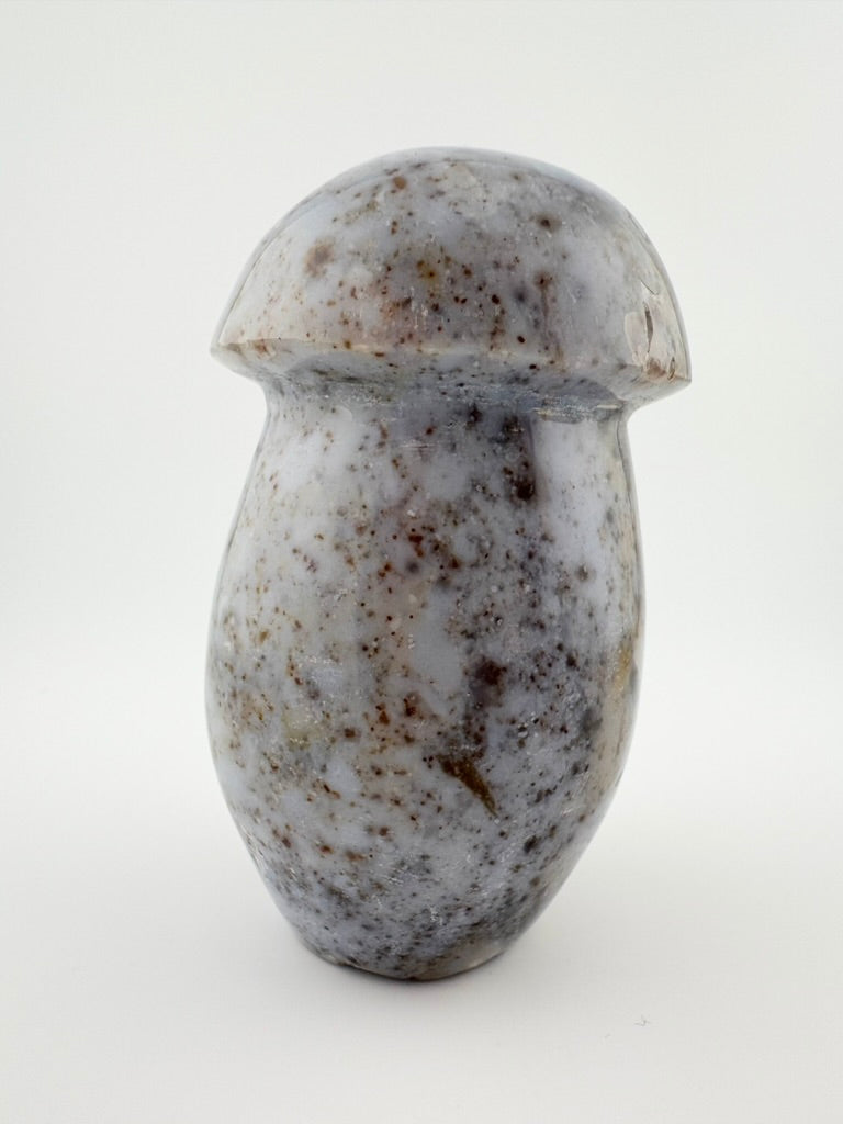 Ocean Jasper Mushroom