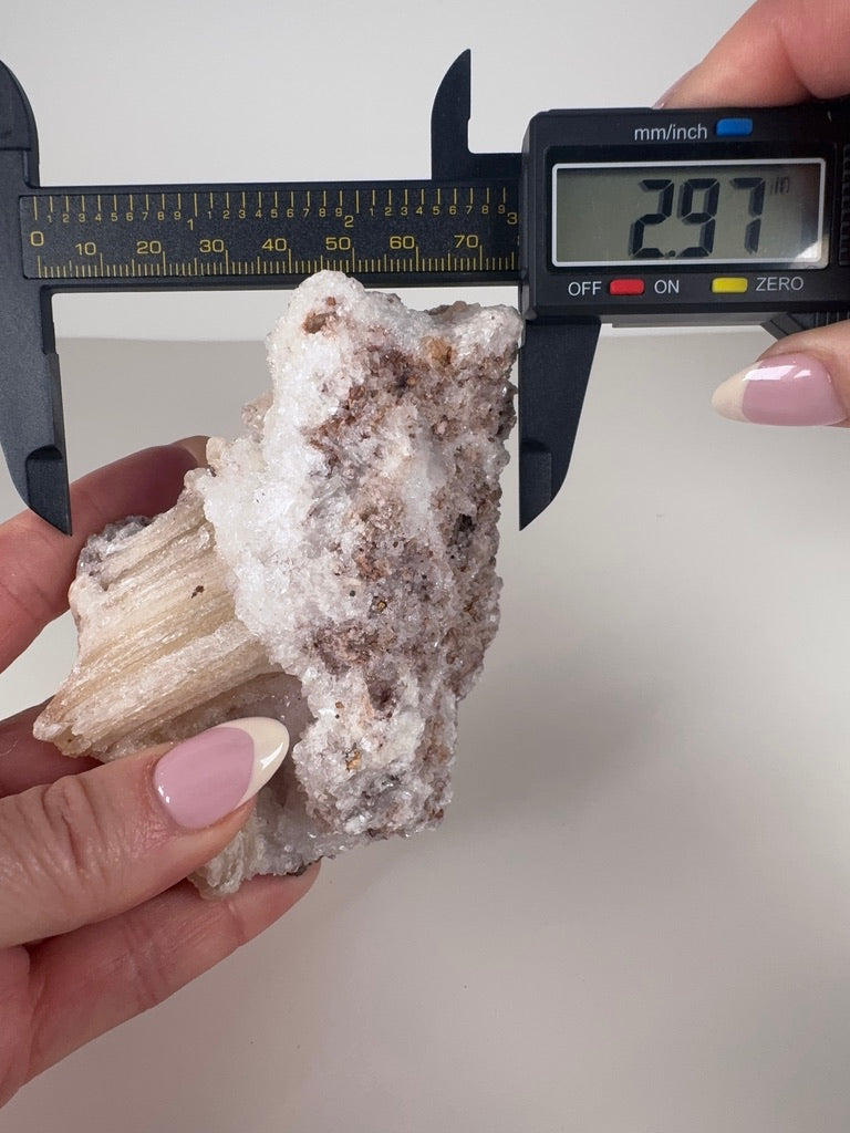 Rams Horn Selenite Specimen