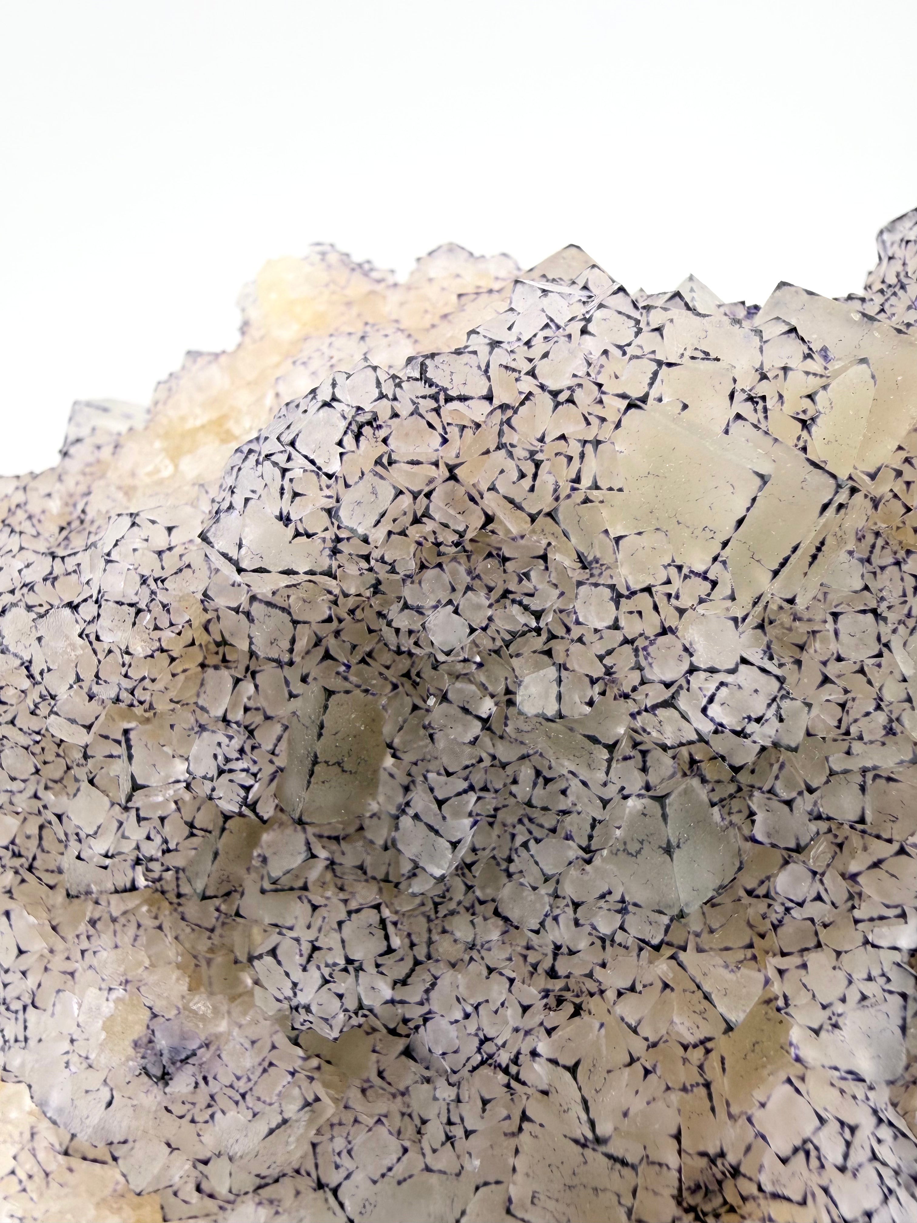 Purple Edge "QR Code" Fluorite