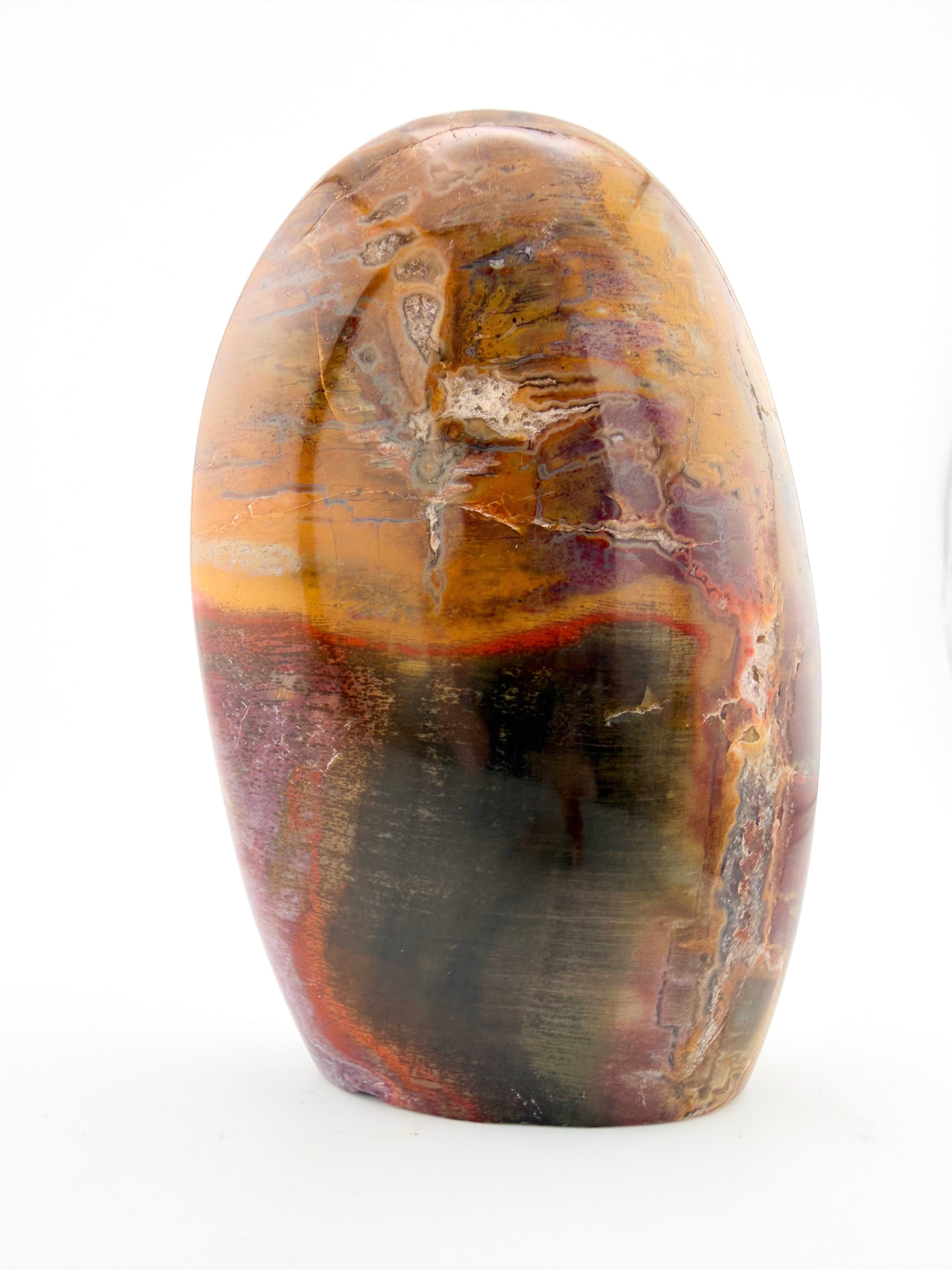 Petrified Wood Free Form