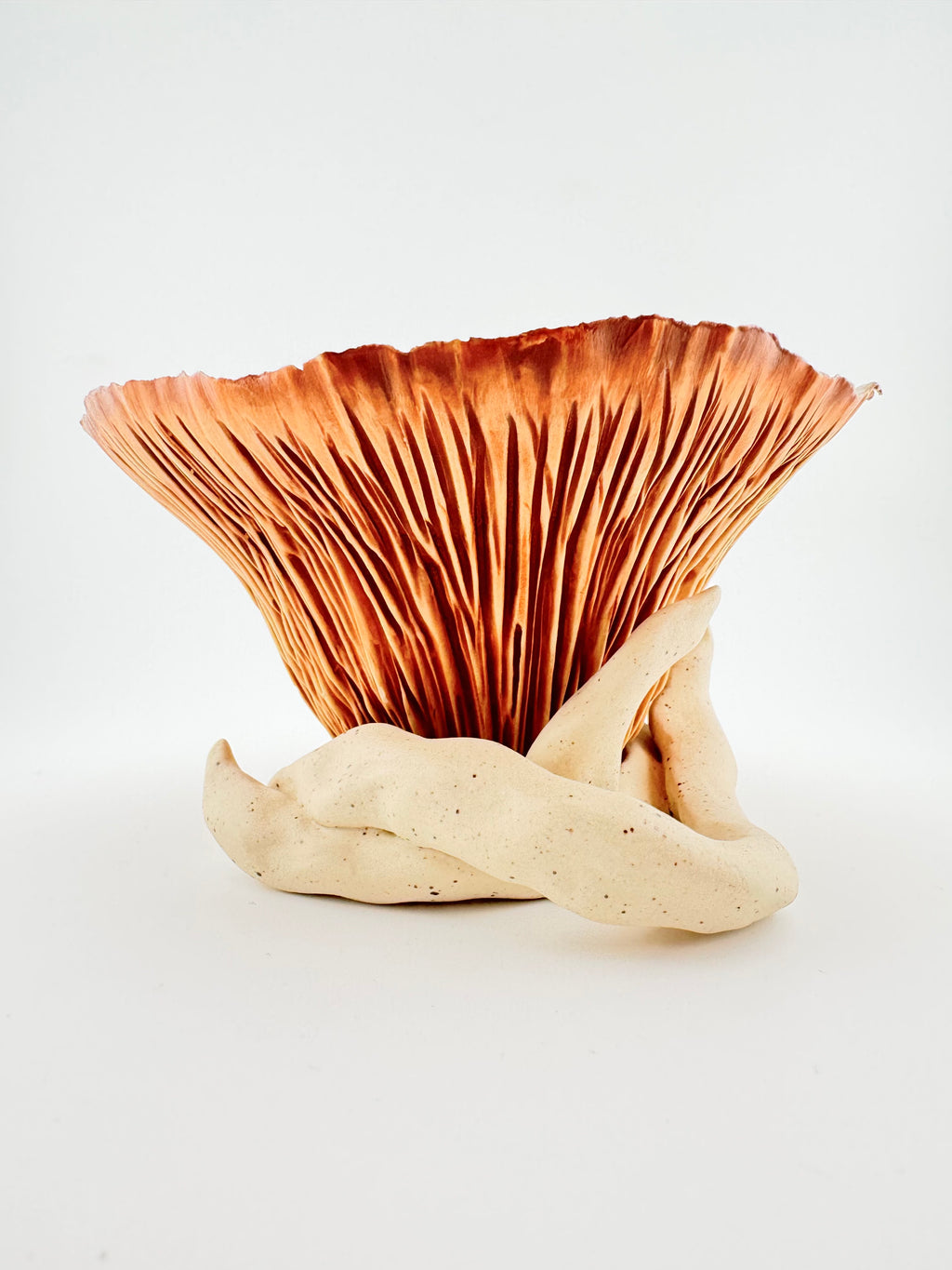 Held, by Sinéad Boyle