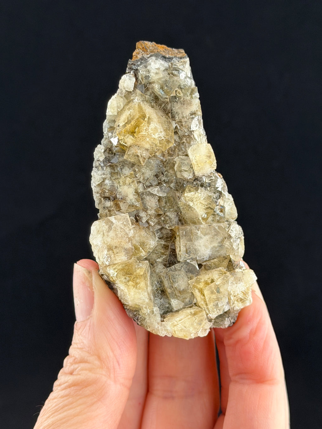 Frazer's Hush Fluorite, County Durham, England