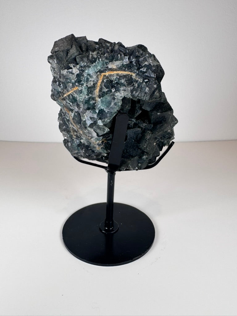 Dark Green Cubic Fluorite and Pyrite on Black Metal Stand