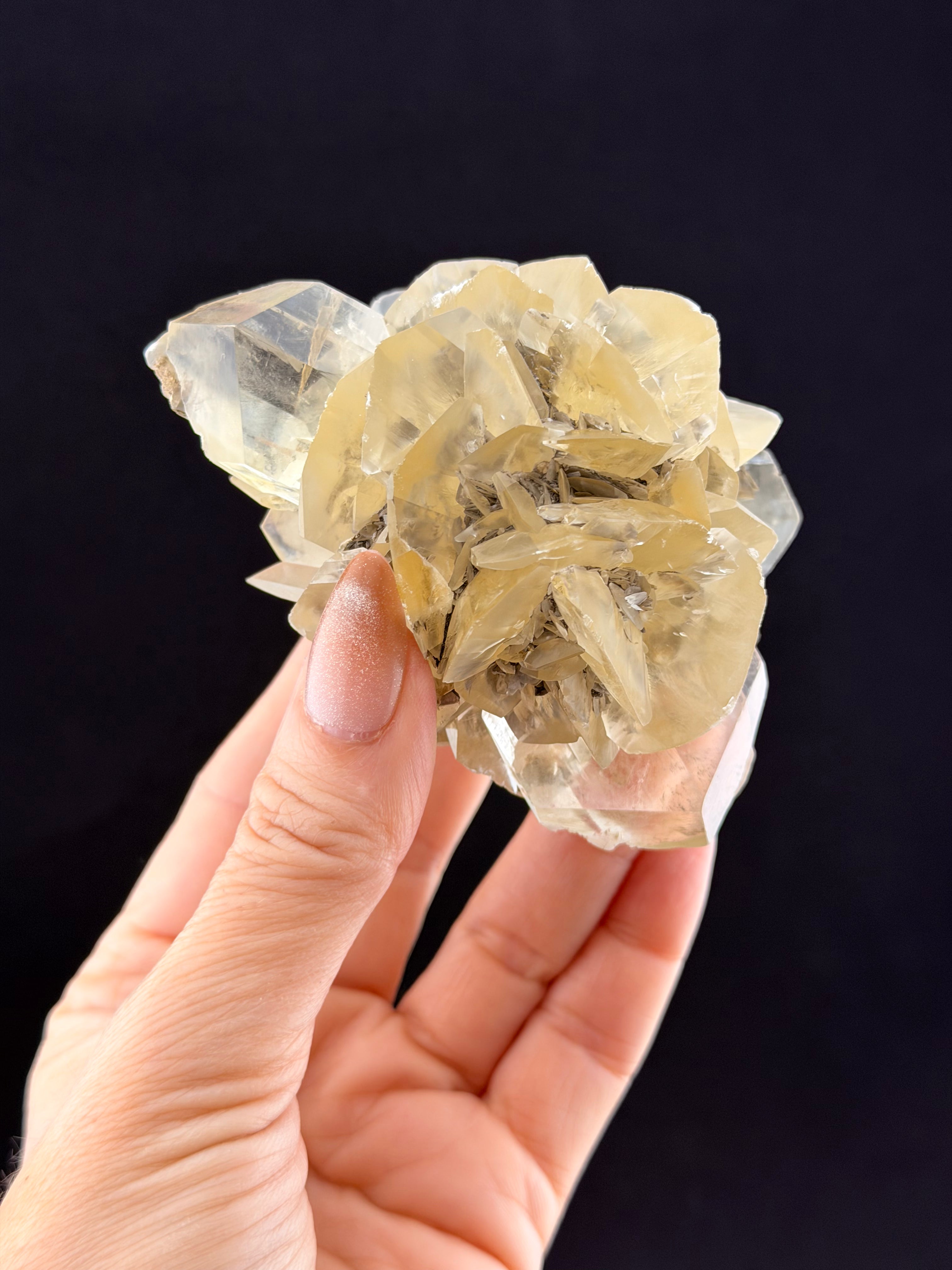 Duckbill Selenite, Manitoba, Canada