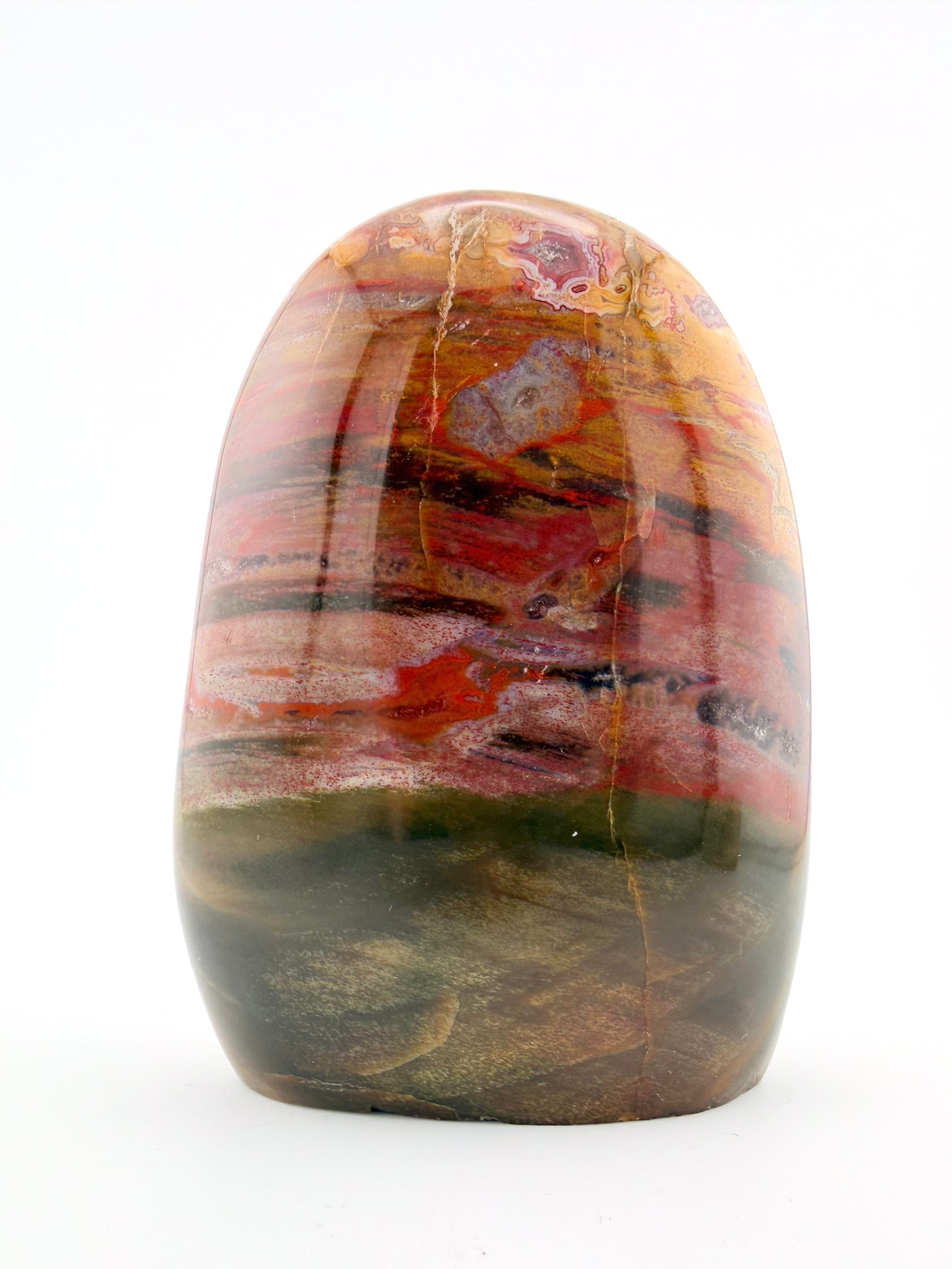 Petrified Wood Free Form
