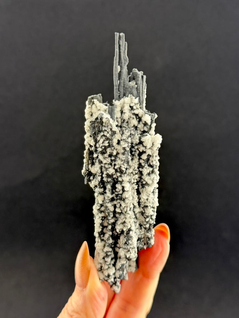 Pyrolusite and Dolomite, Ontario, Canada