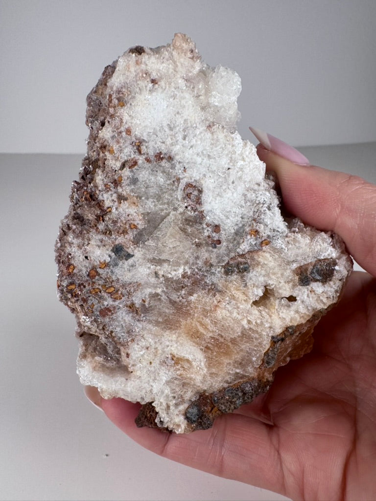 Rams Horn Selenite Specimen