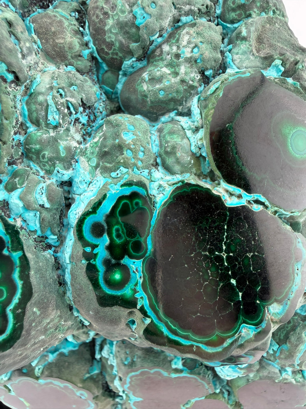 Botryoidal Chrysocolla with Malachite