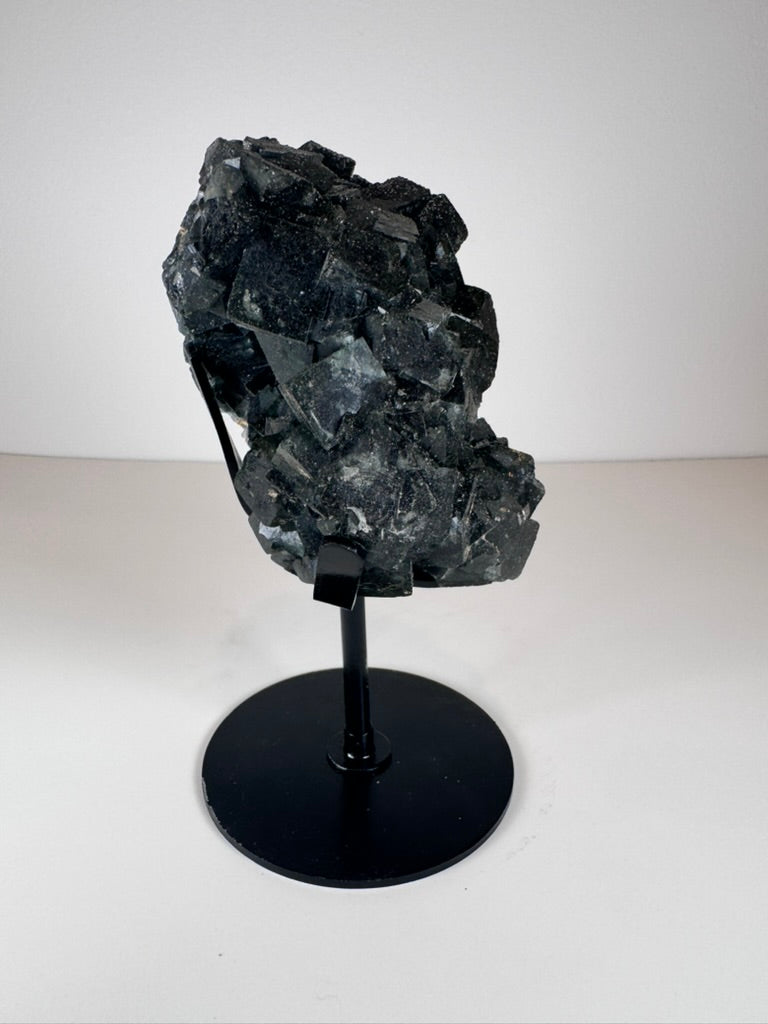 Dark Green Cubic Fluorite and Pyrite on Black Metal Stand