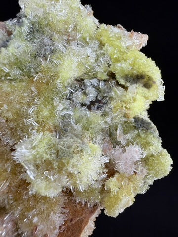 Green Creedite, Guizhou, China