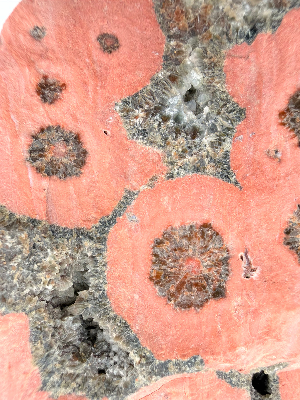 8th Vein Ocean Jasper Raw Specimen