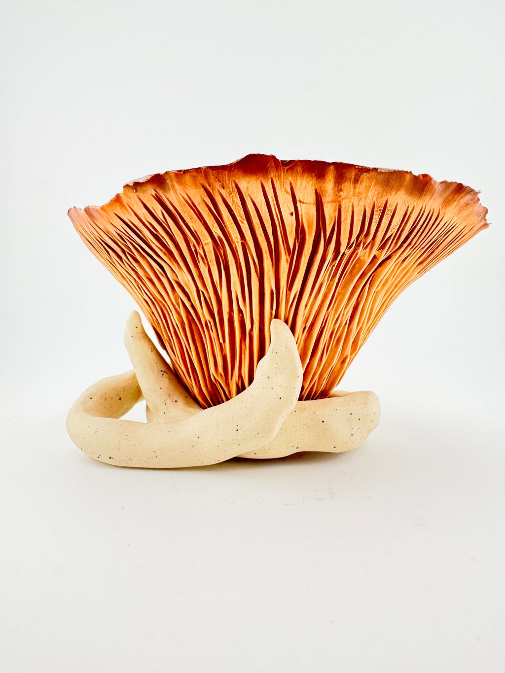 Held, by Sinéad Boyle