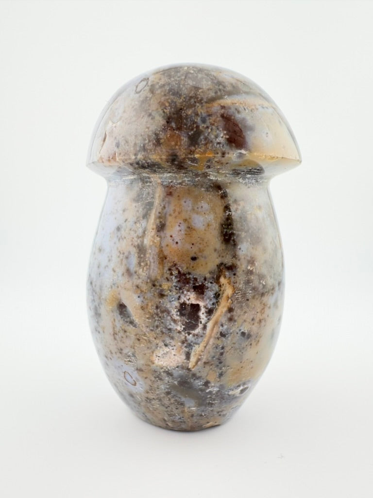 Ocean Jasper Mushroom