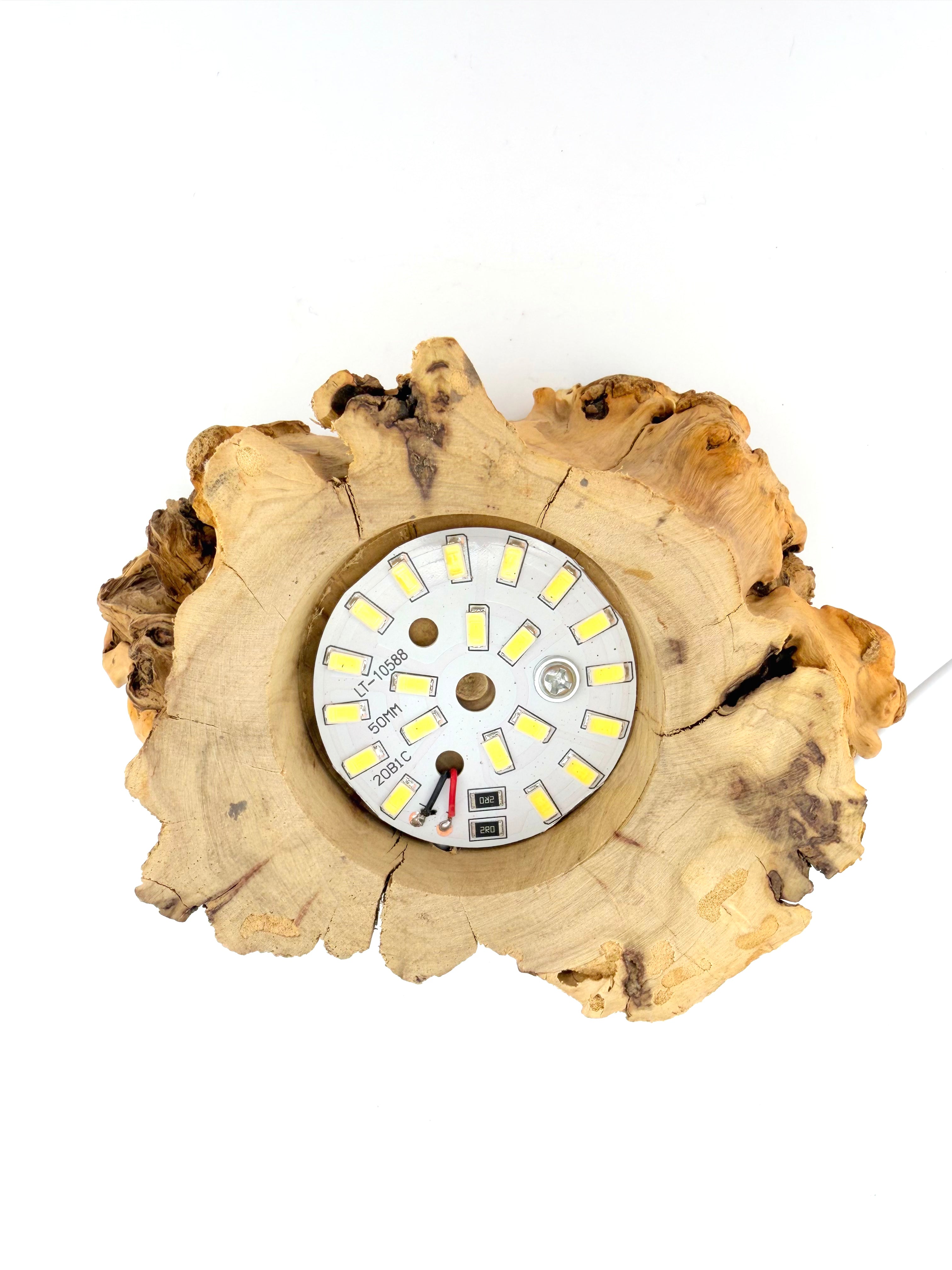 Driftwood Sphere Stand