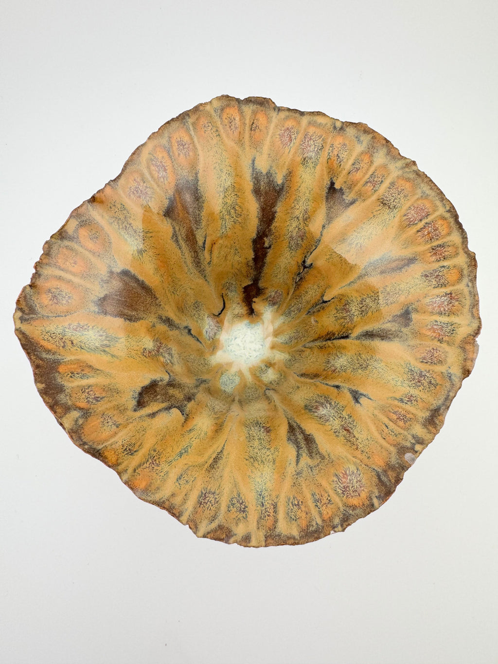 Held, by Sinéad Boyle