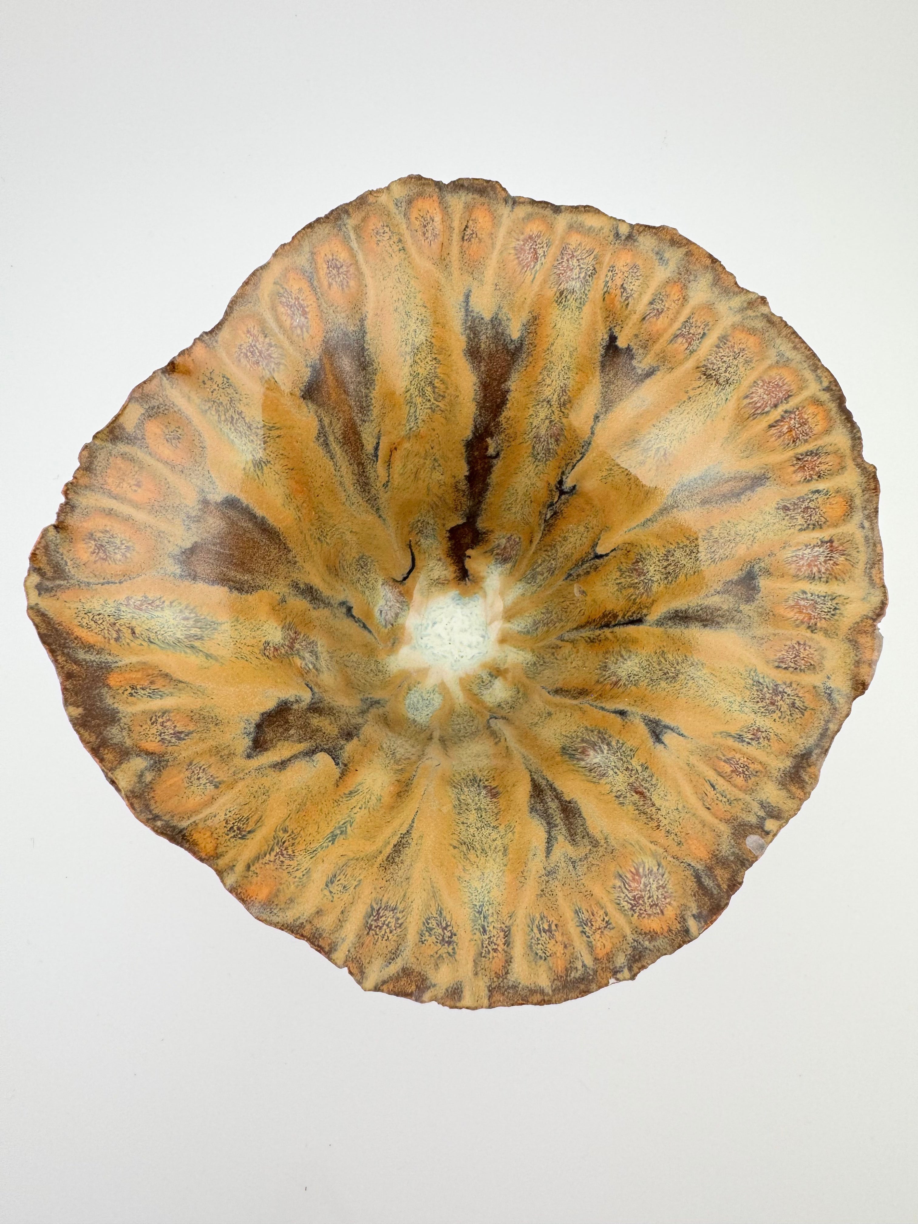 Held, by Sinéad Boyle