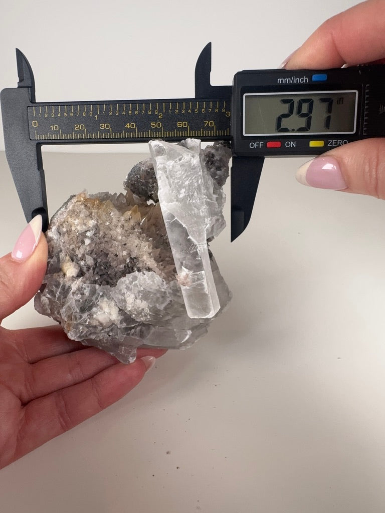 Selenite and Dog Tooth Calcite