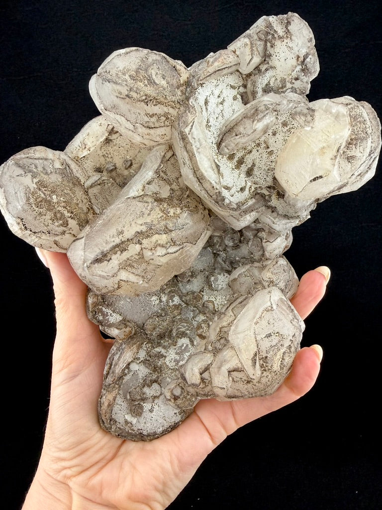 "Cookies and Cream" calcite cluster, Fujian, China