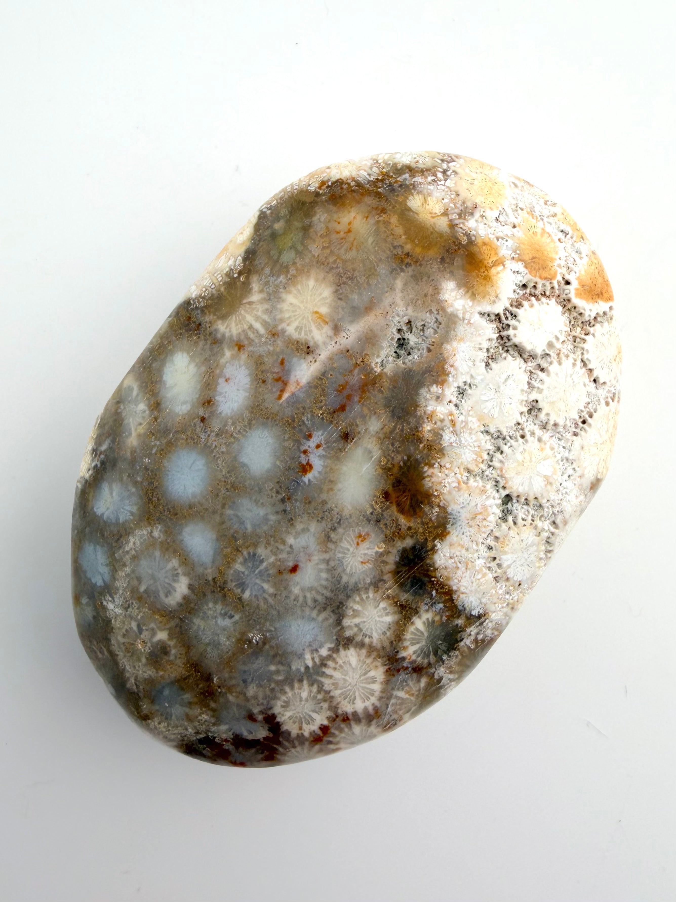 Coral Jade Palm Stone