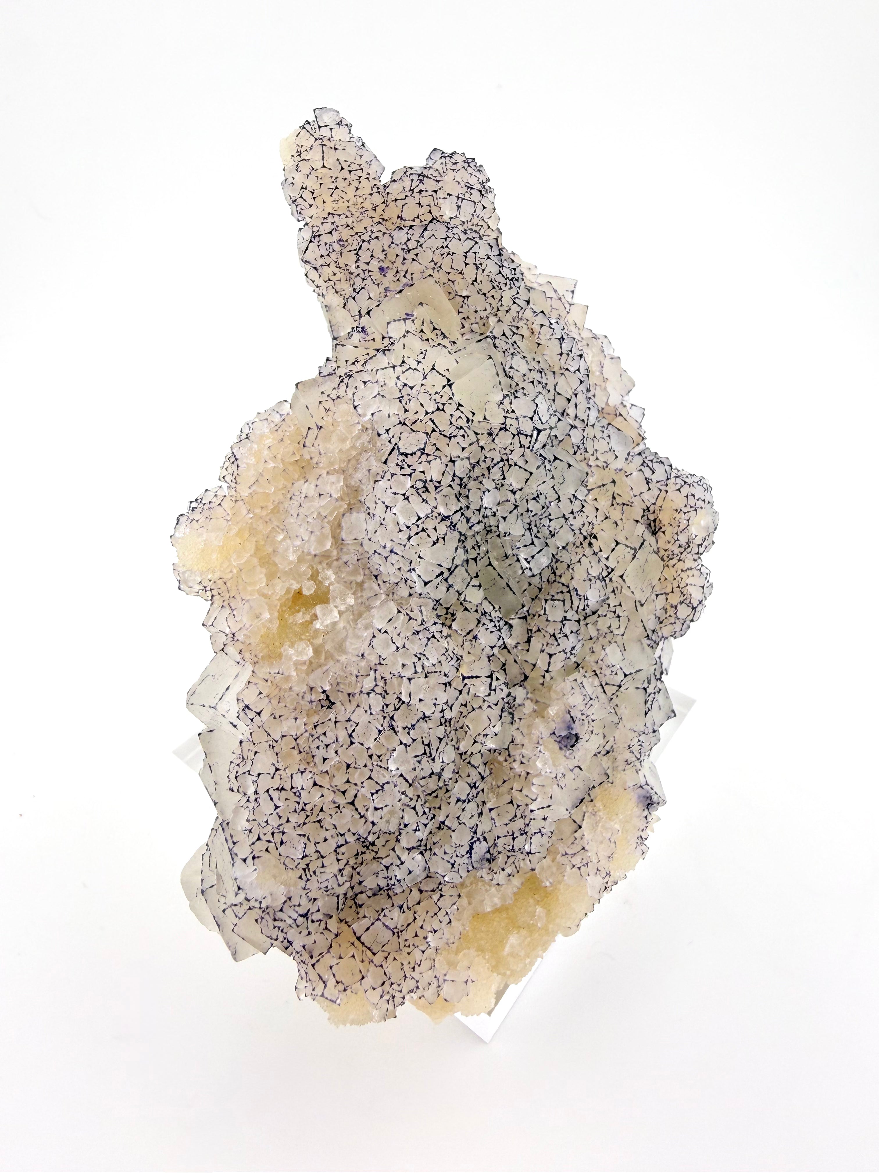 Purple Edge "QR Code" Fluorite