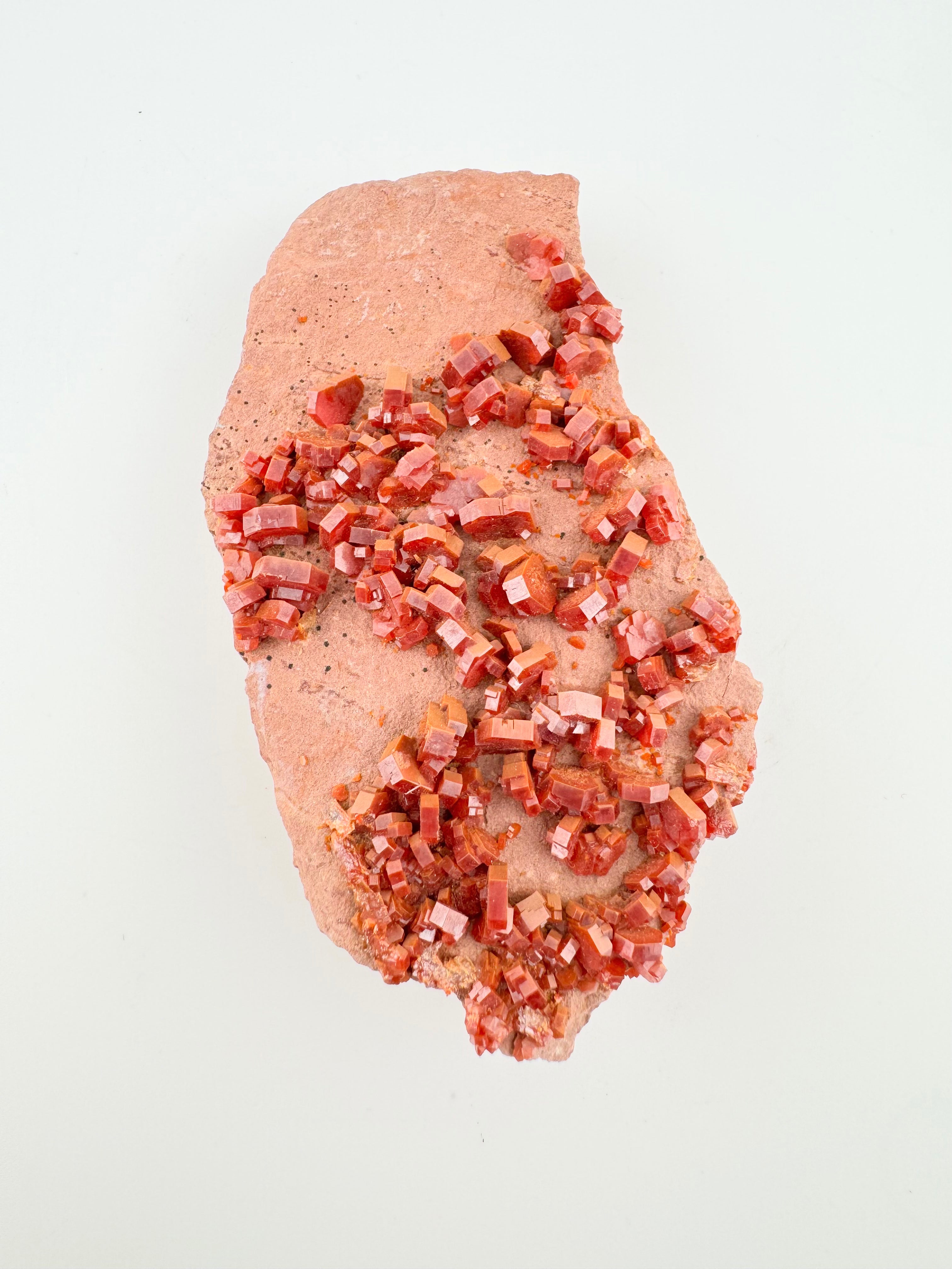 Vanadinite on Pink Sandstone