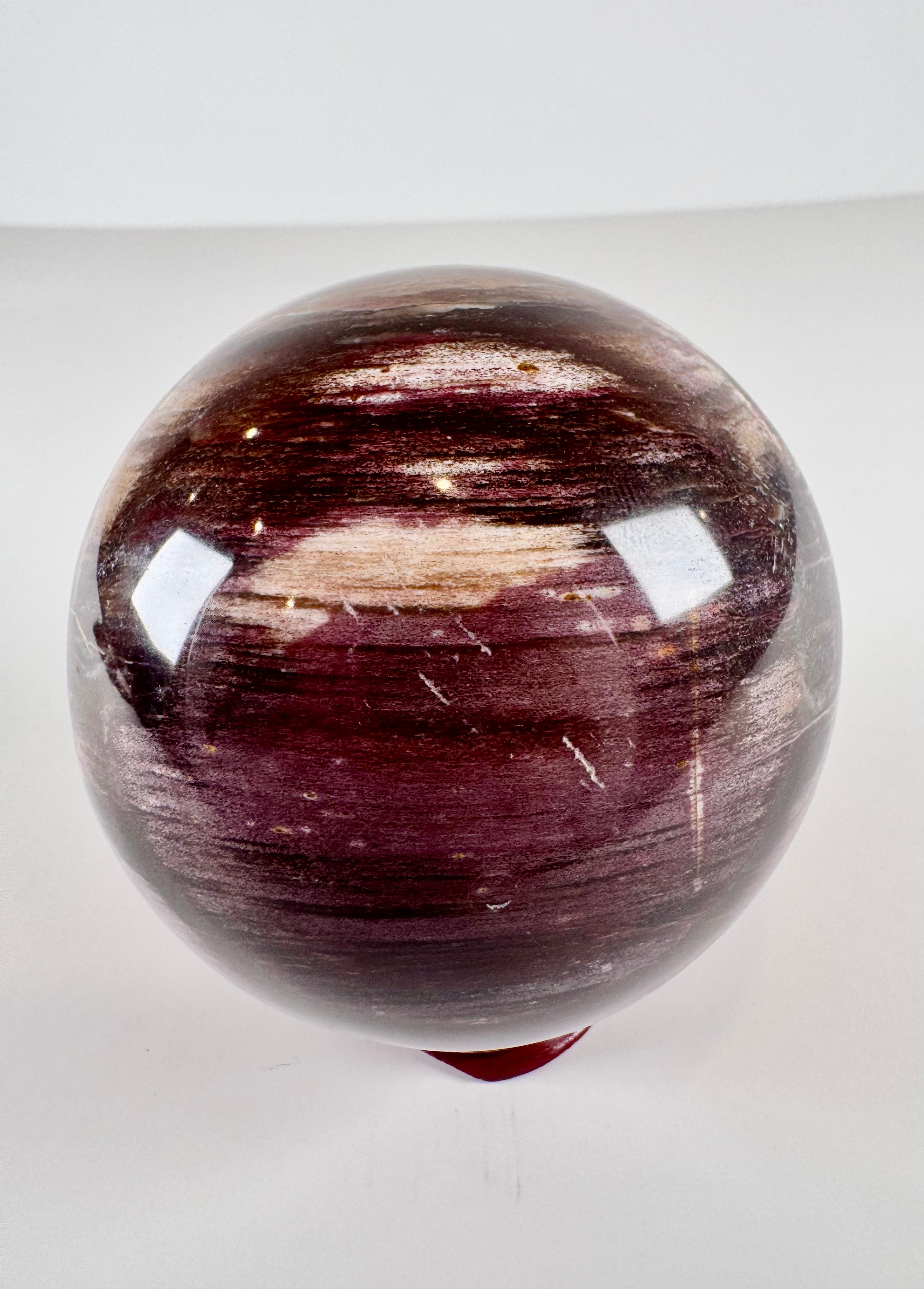 Petrified Wood Sphere