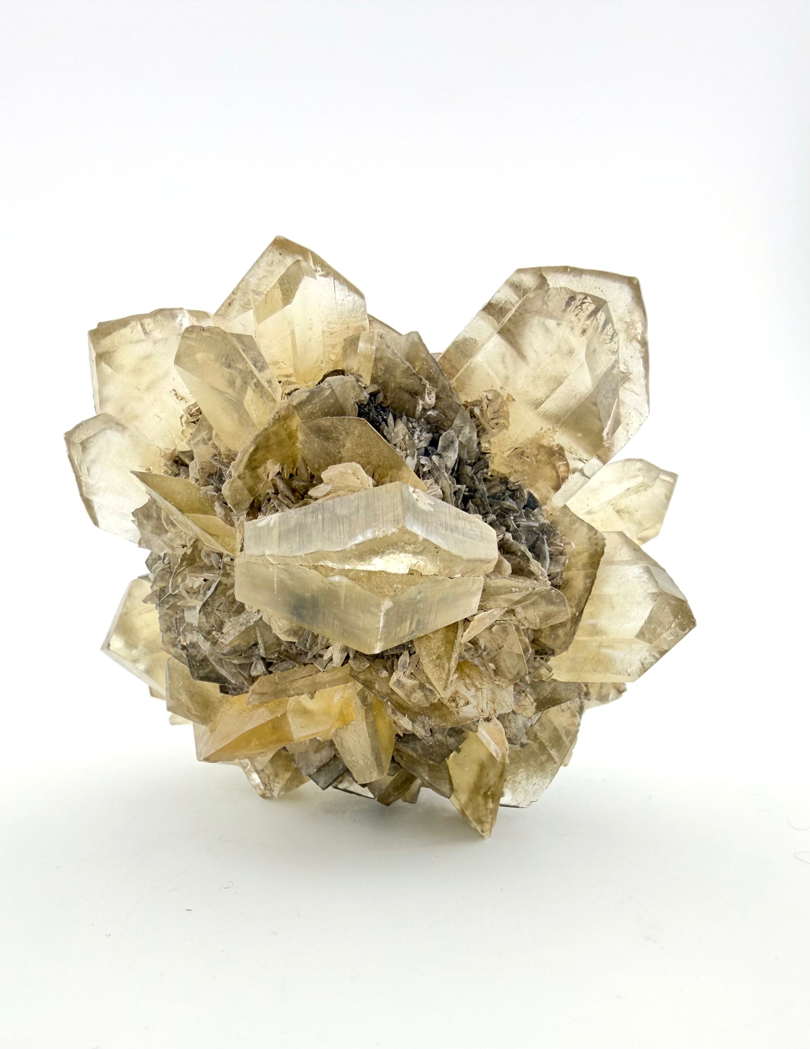 Duckbill Selenite