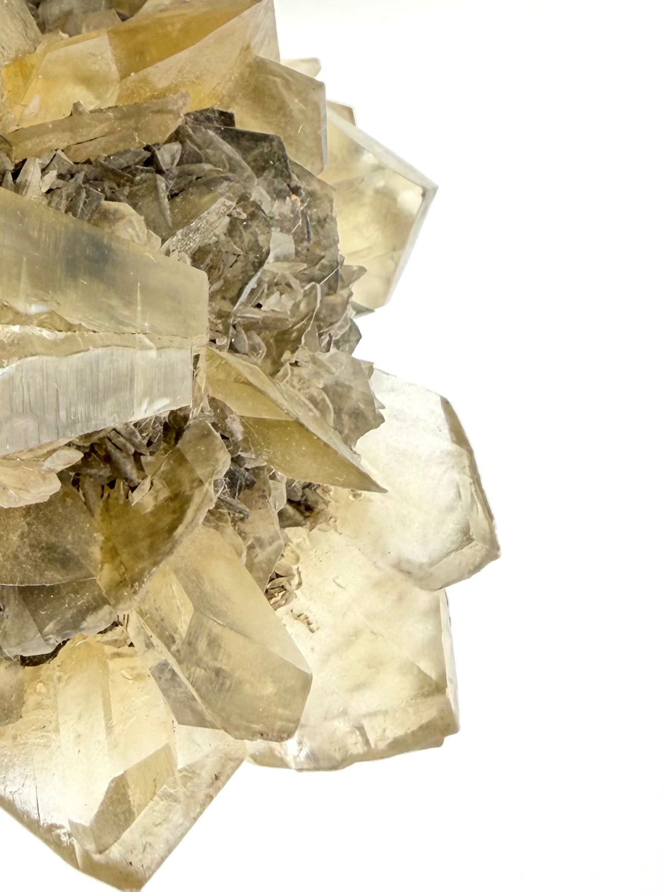 Duckbill Selenite