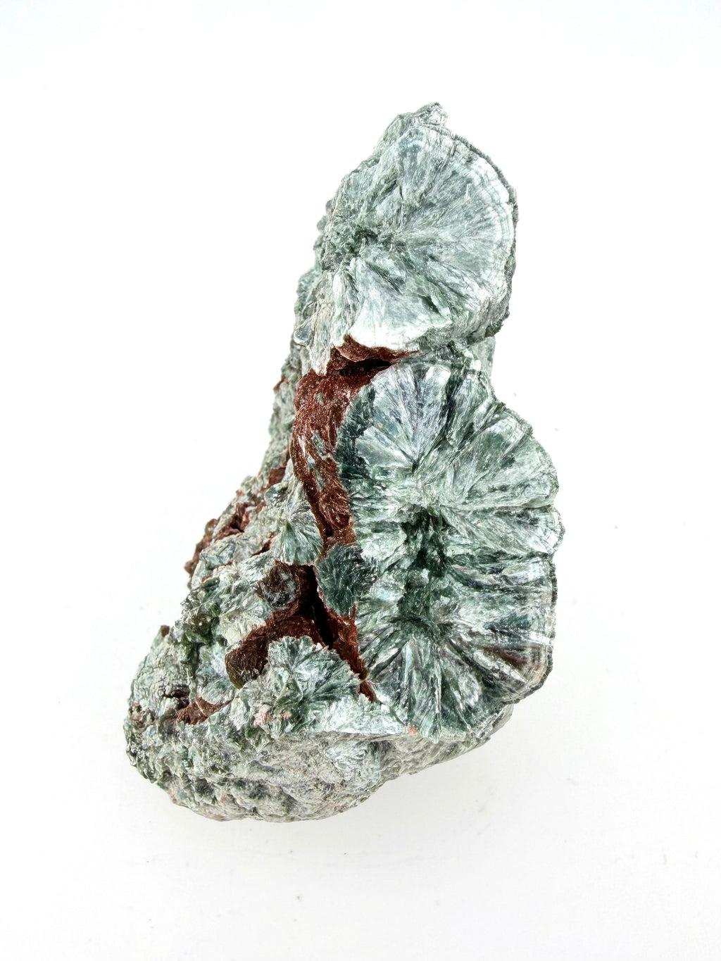 Seraphinite Bloom
