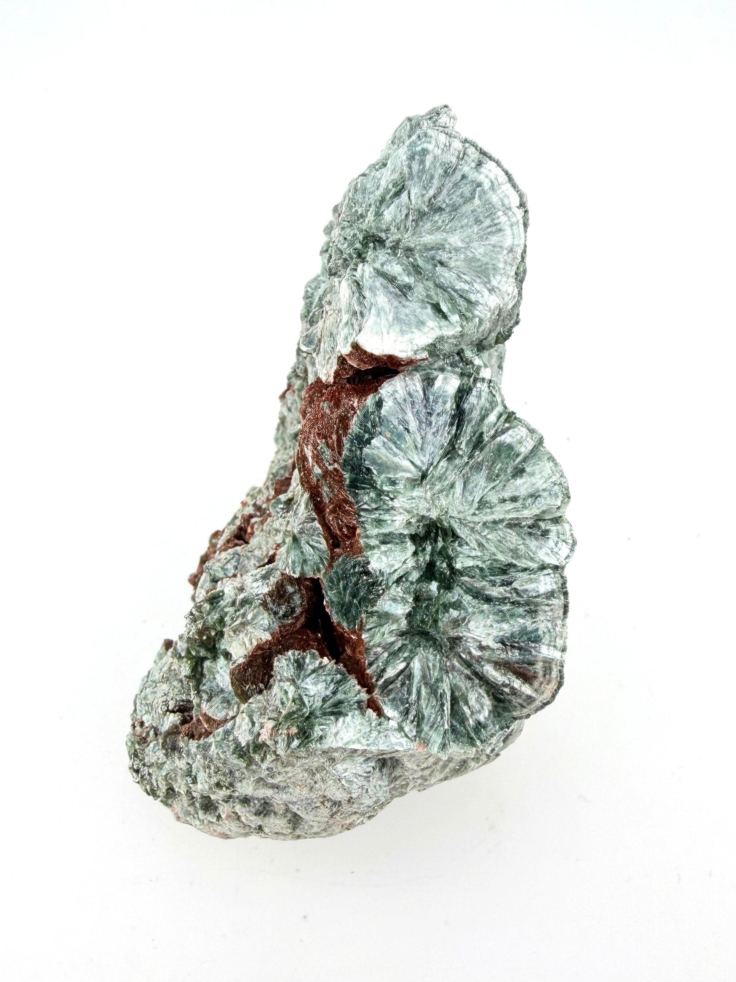 Seraphinite Bloom