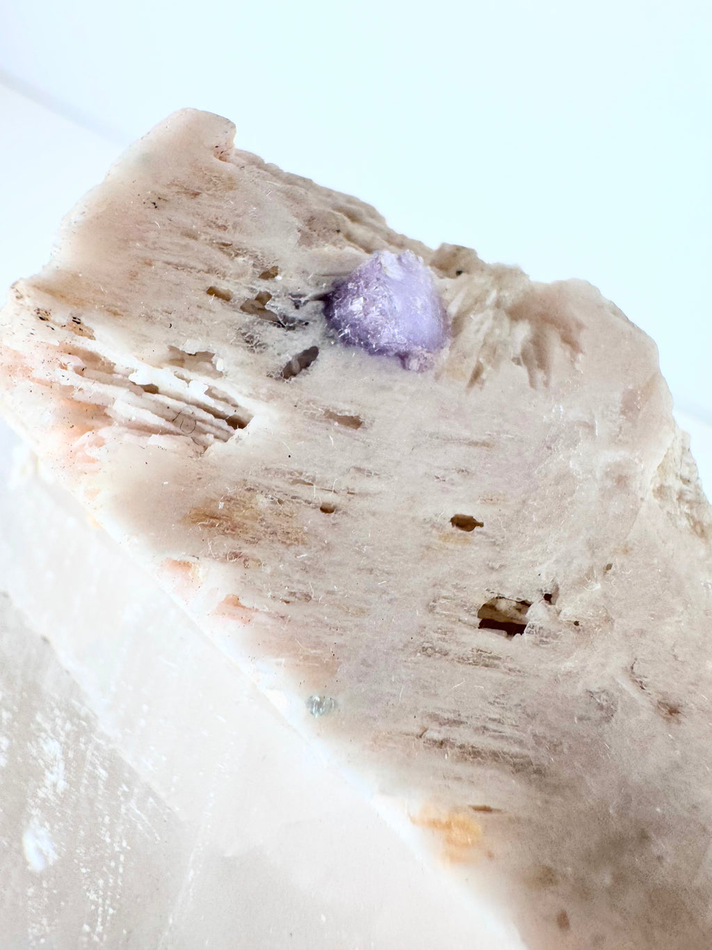 Watermelon Tourmaline in Lepidolite & Quartz Matrix