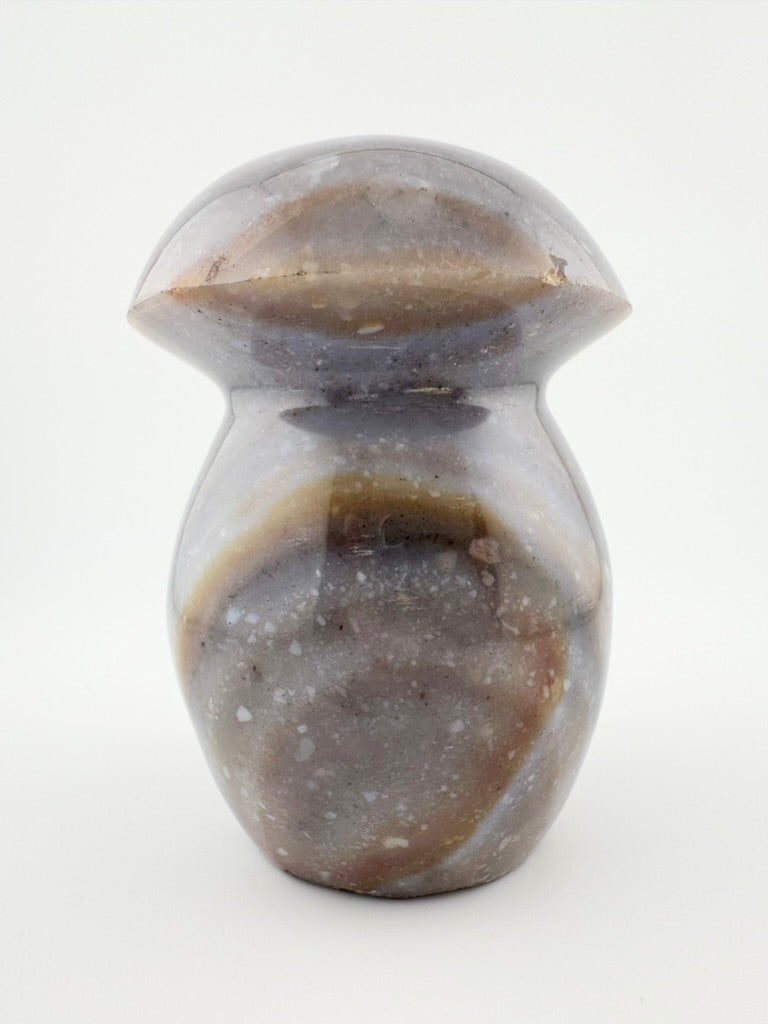 Ocean Jasper Mushroom