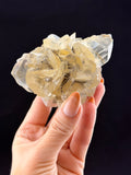 Duckbill Selenite, Manitoba, Canada