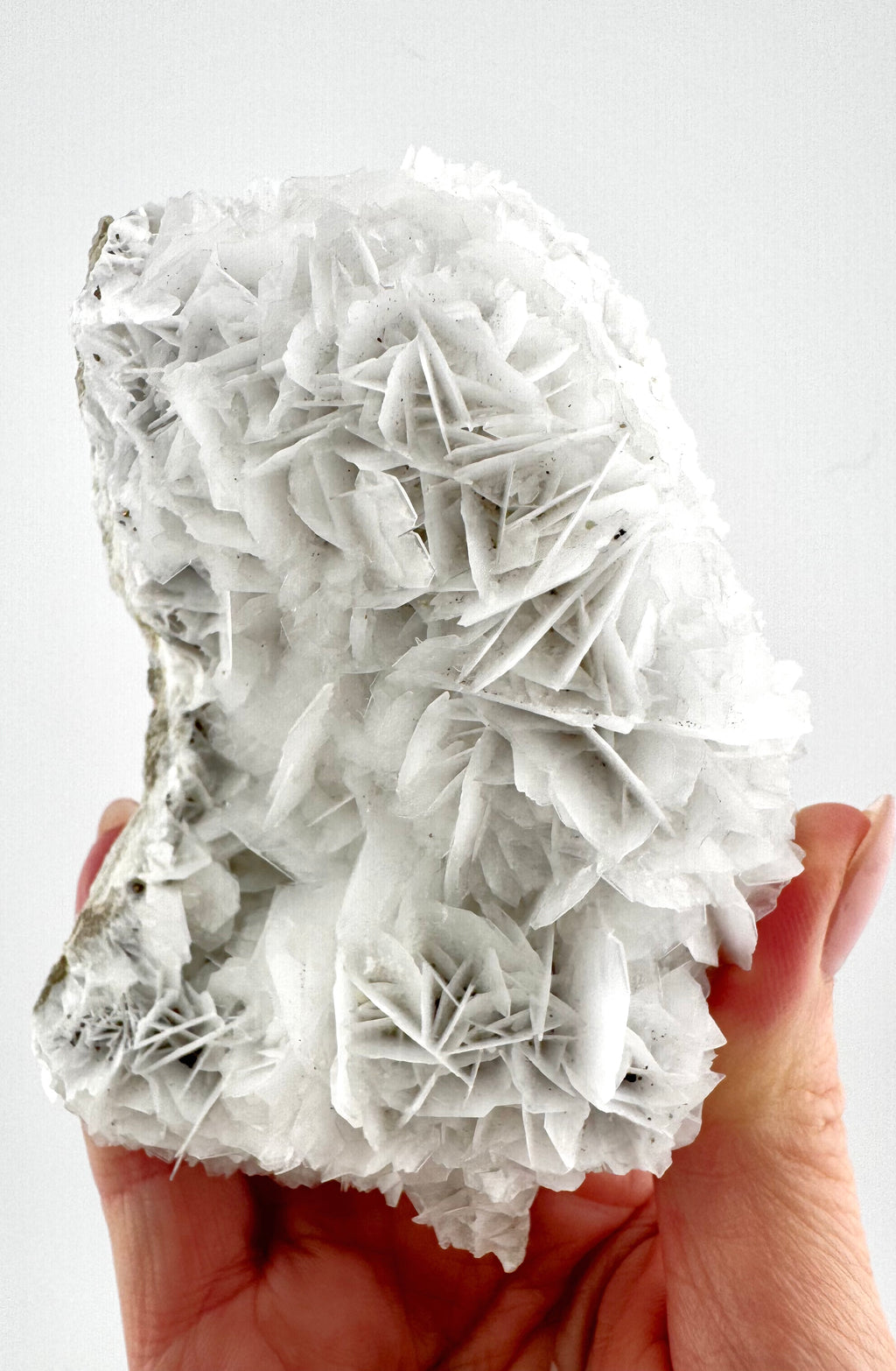 Flower Petal Calcite