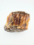 Sunflare Amber Calcite
