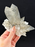 Swallowtail Calcite, Anhui Province, China