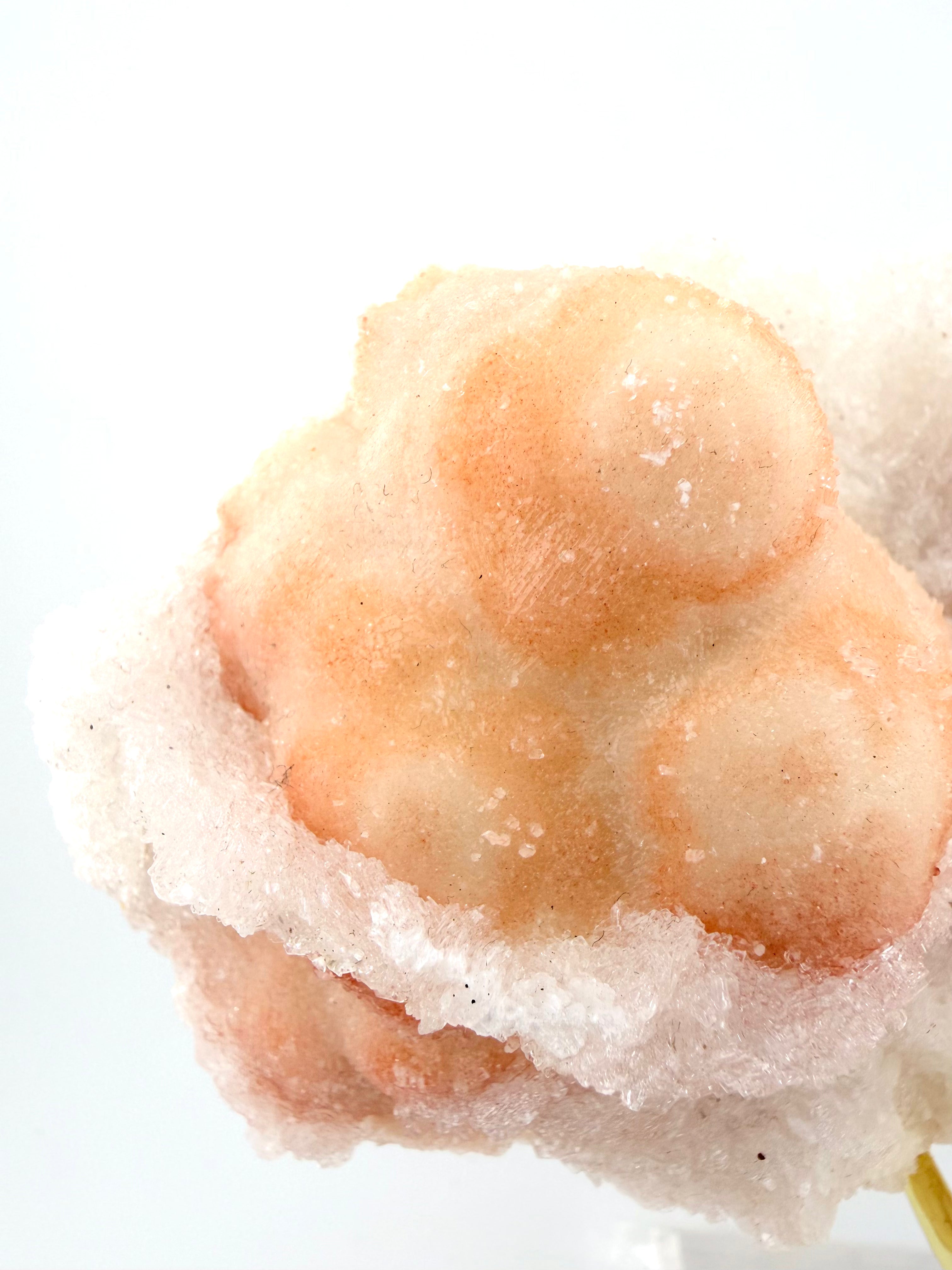 Pink Botryoidal Aragonite