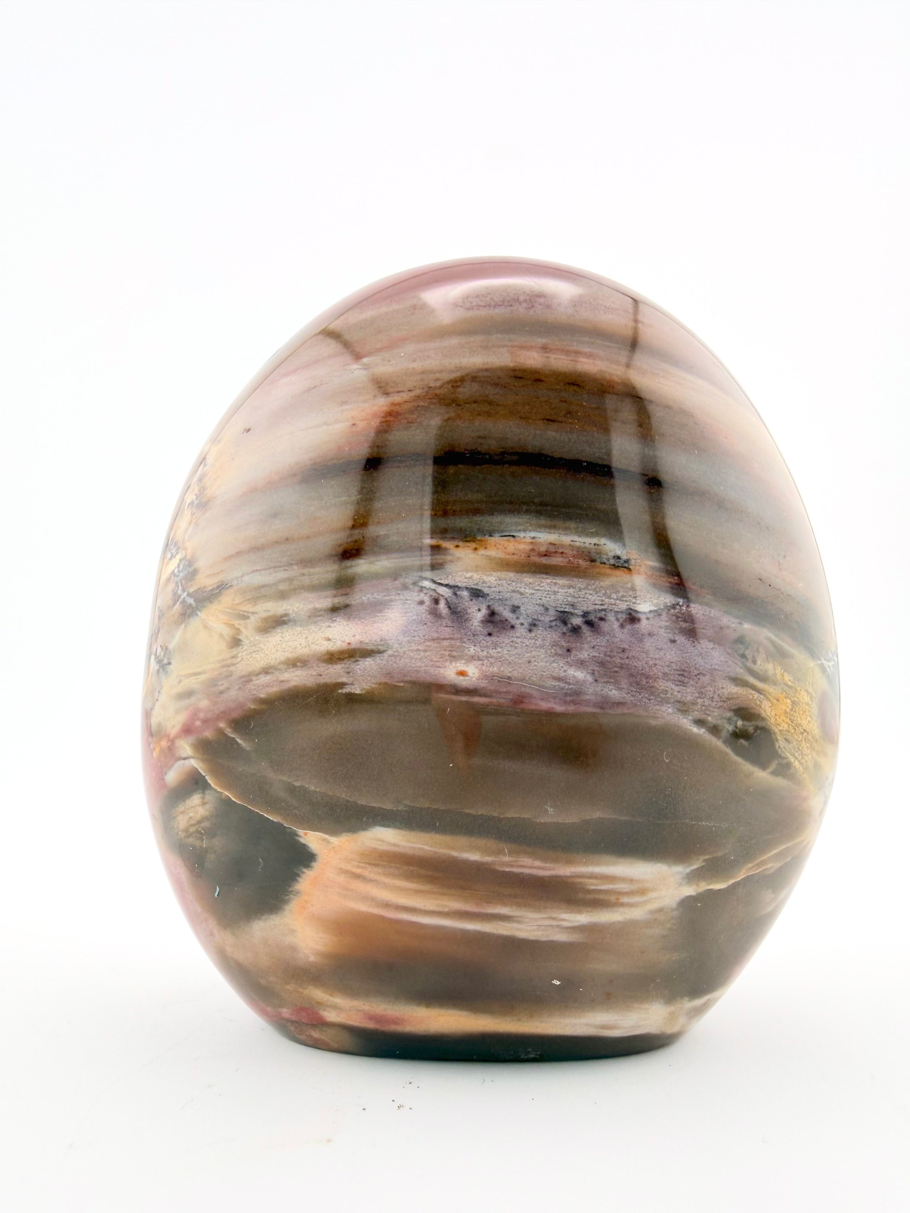 Petrified Wood Free Form