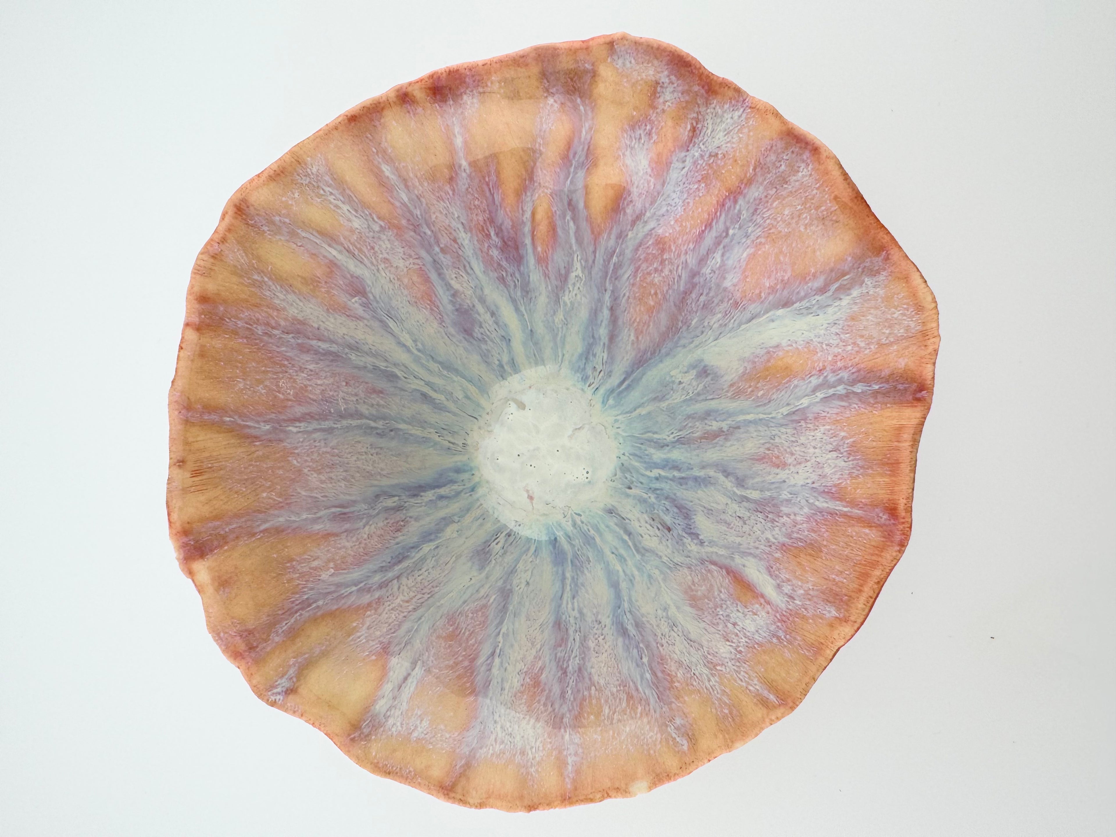 Lompar, by Sinéad Boyle