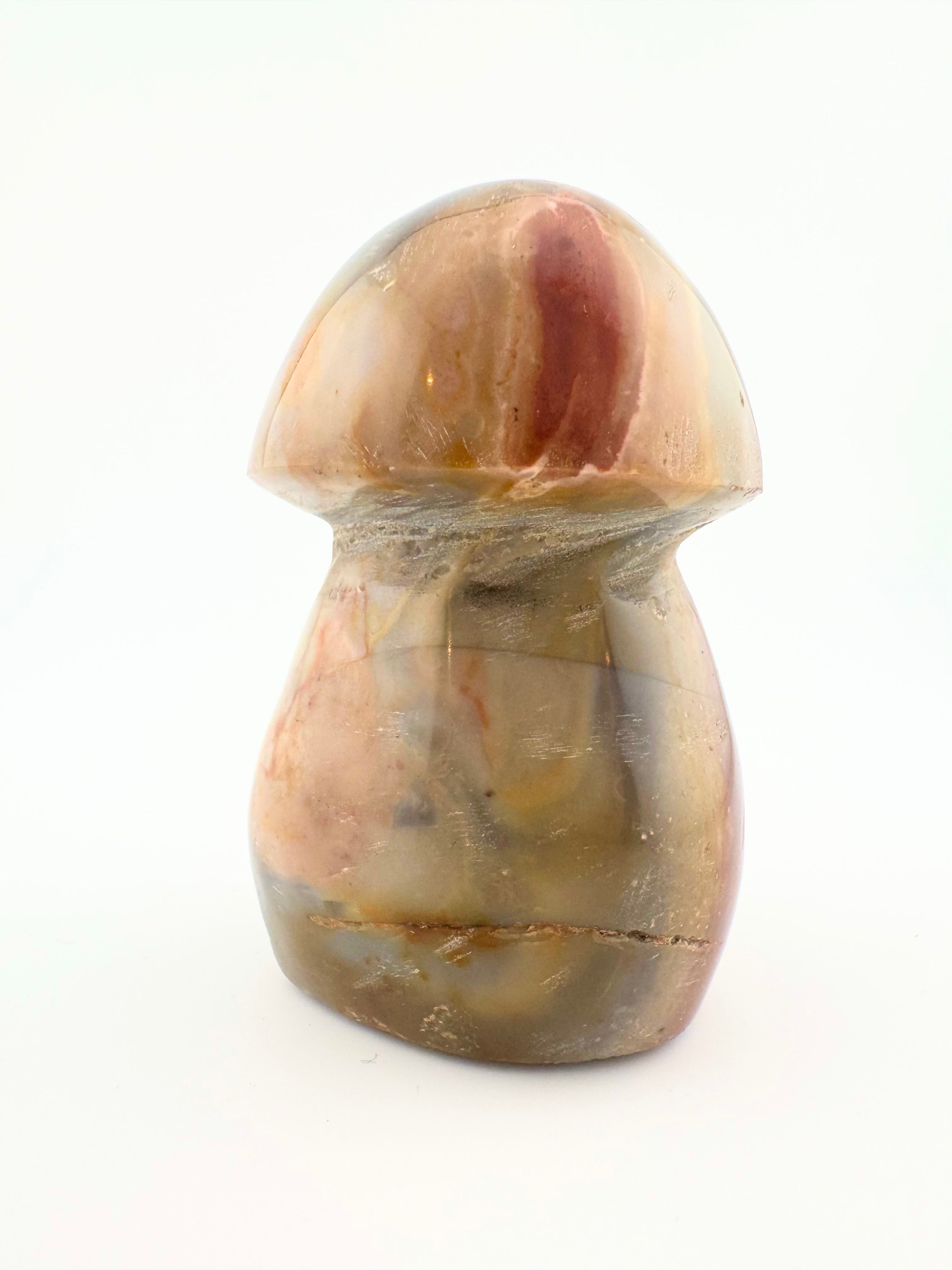 Polychrome Jasper Medium Mushroom